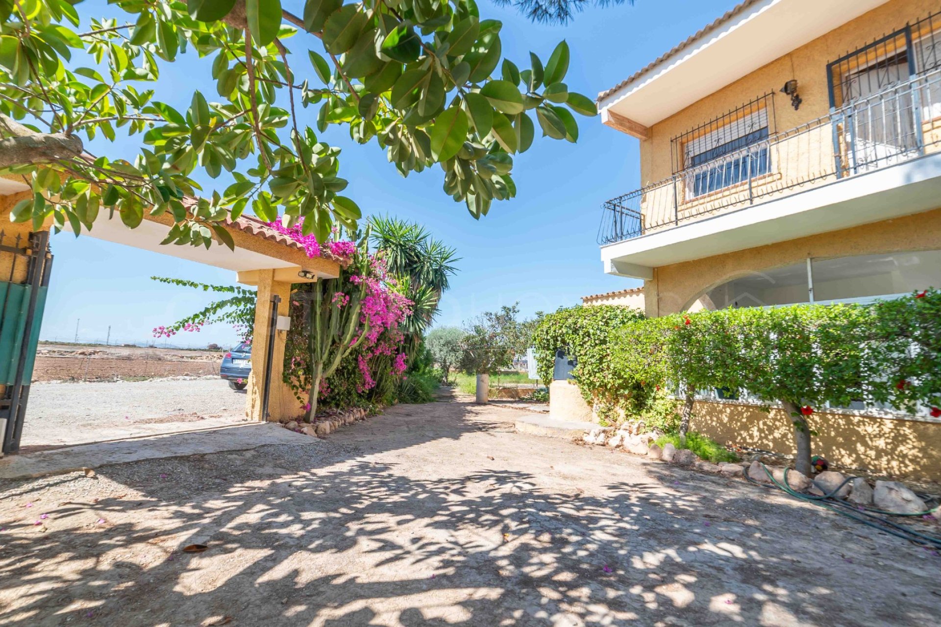 Resale - Villa - Los Montesinos - Montesinos