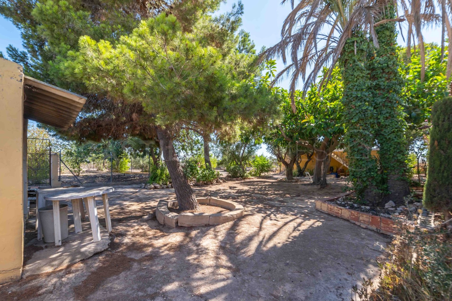 Resale - Villa - Los Montesinos - Montesinos