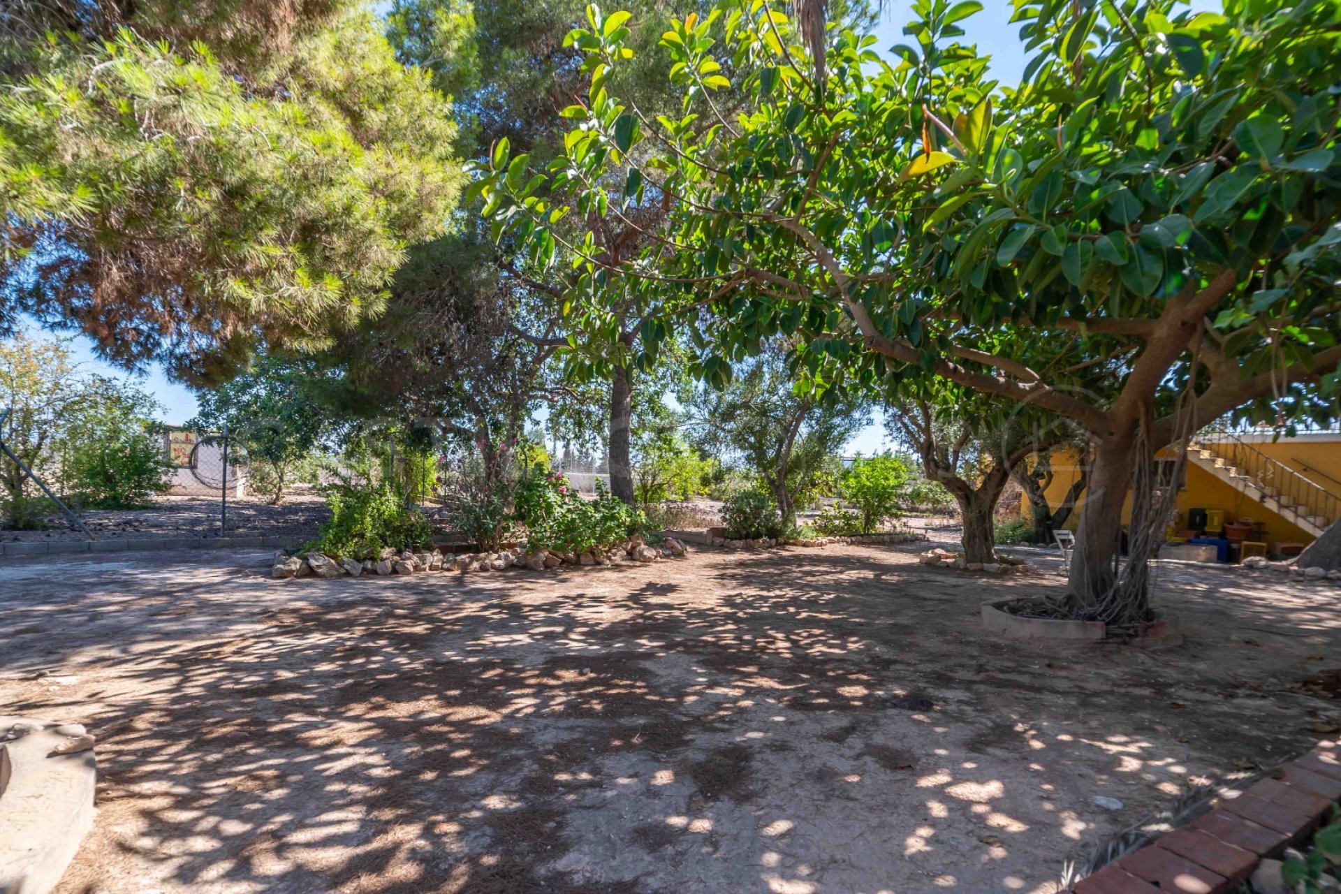 Resale - Villa - Los Montesinos - Montesinos
