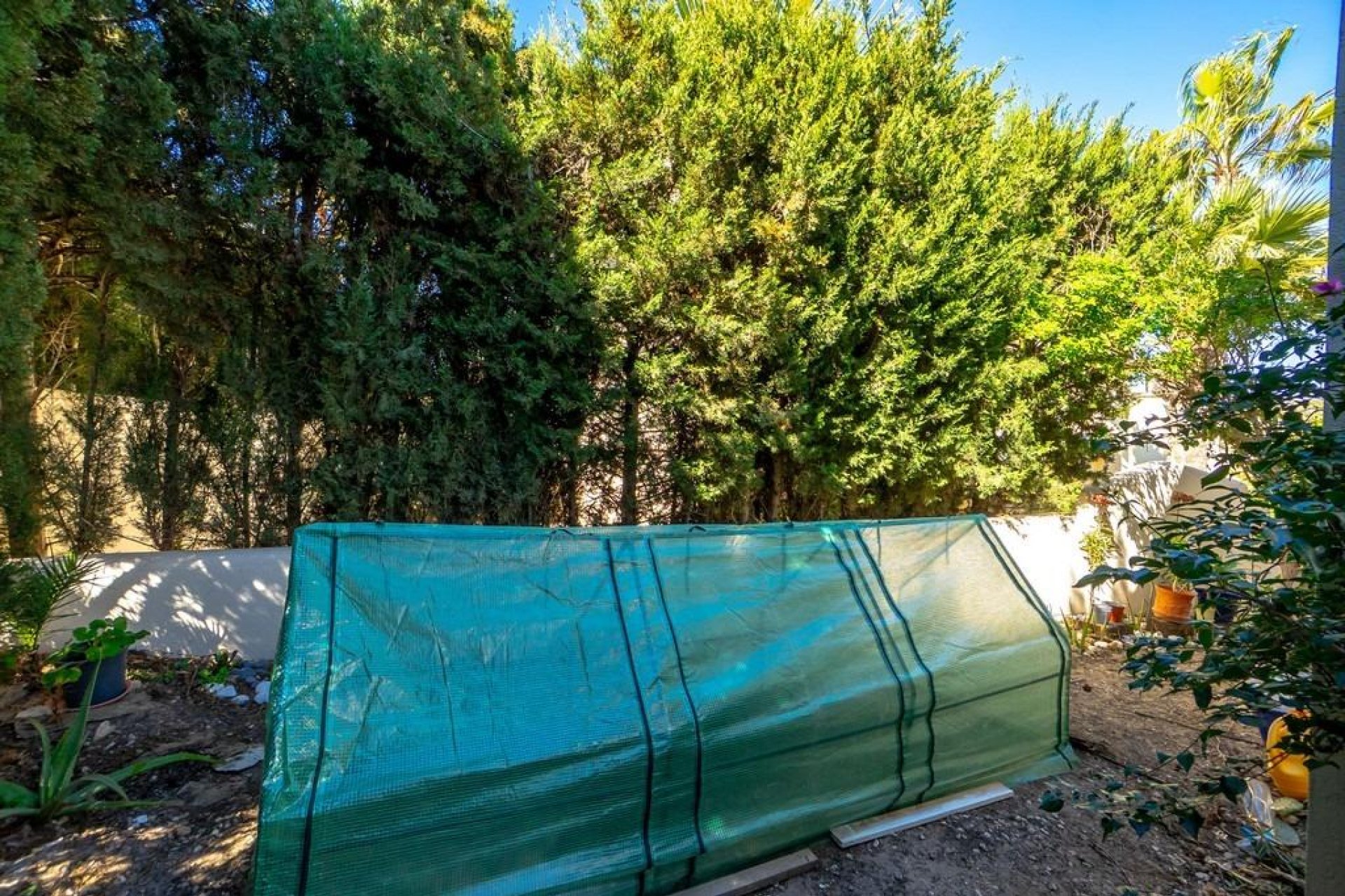 Resale - Villa - Orihuela Costa - Las Ramblas