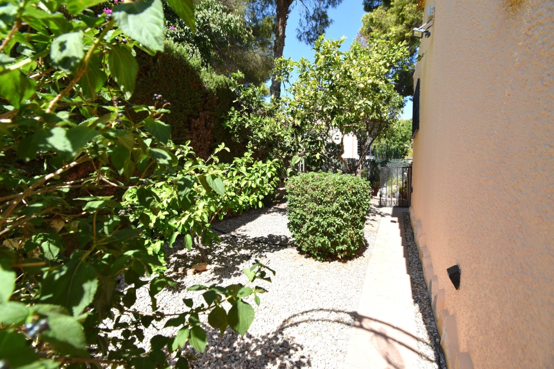 Resale - Villa - Orihuela Costa - Los Balcones