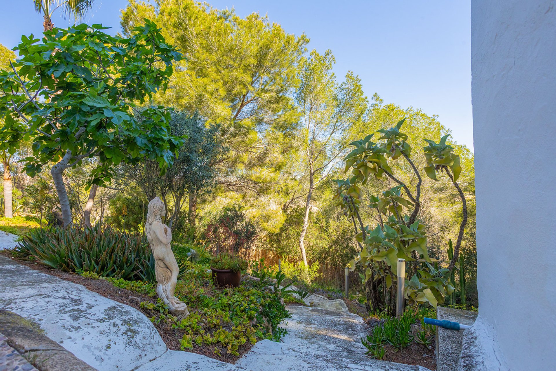Resale - Villa - Orihuela - Orihuela Costa