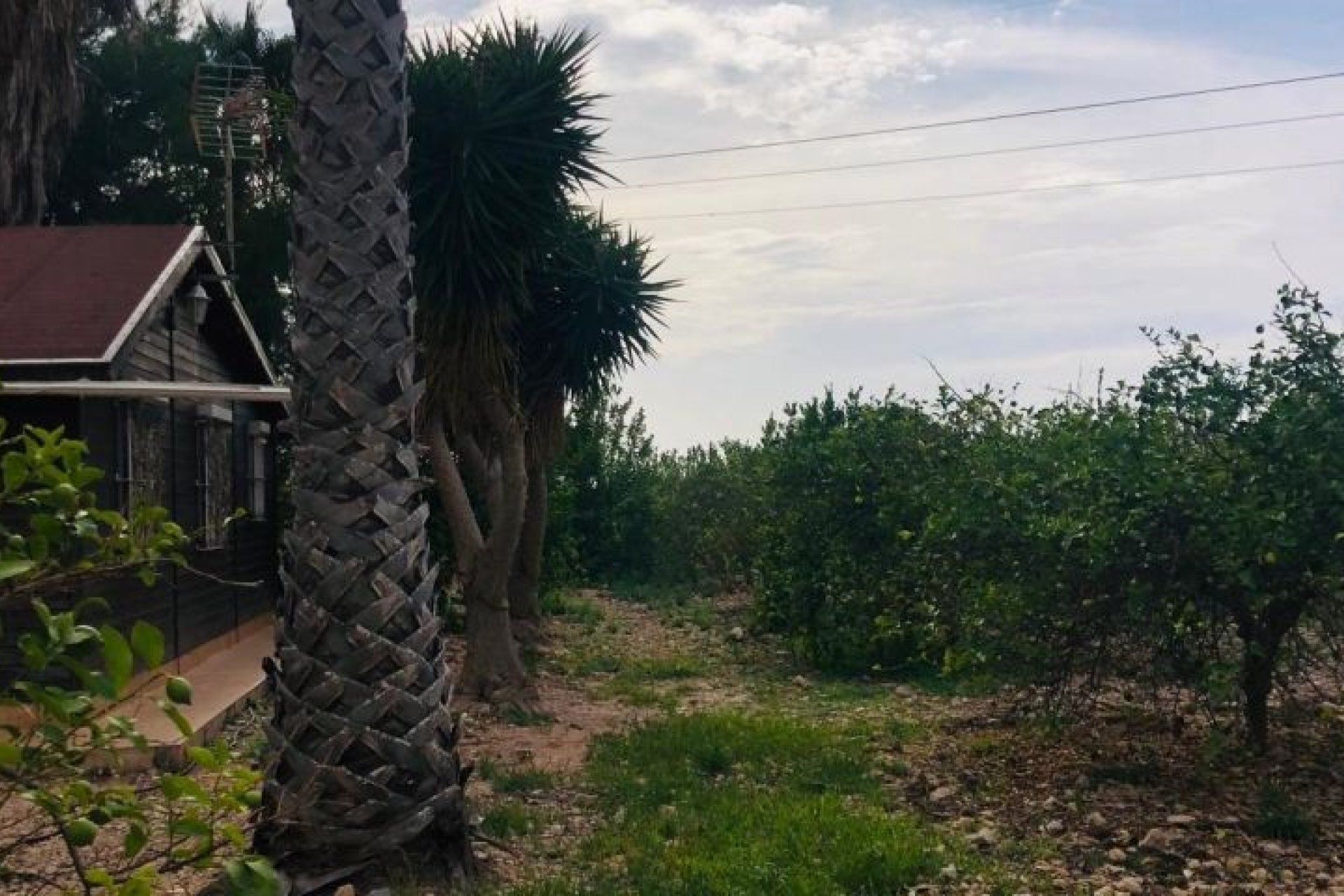 Resale - Villa - Orihuela