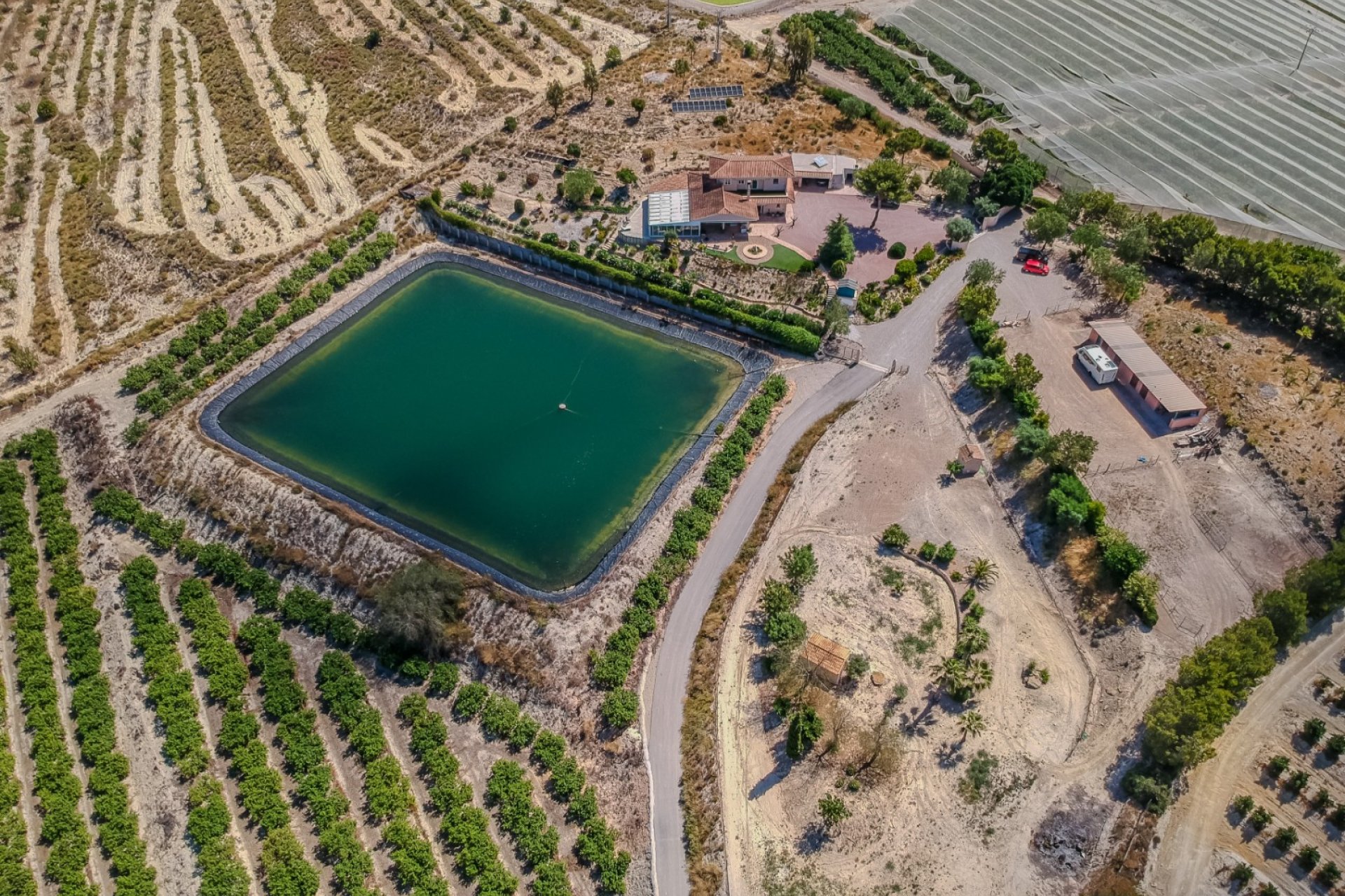 Resale - Villa - San Miguel de Salinas - Torremendo