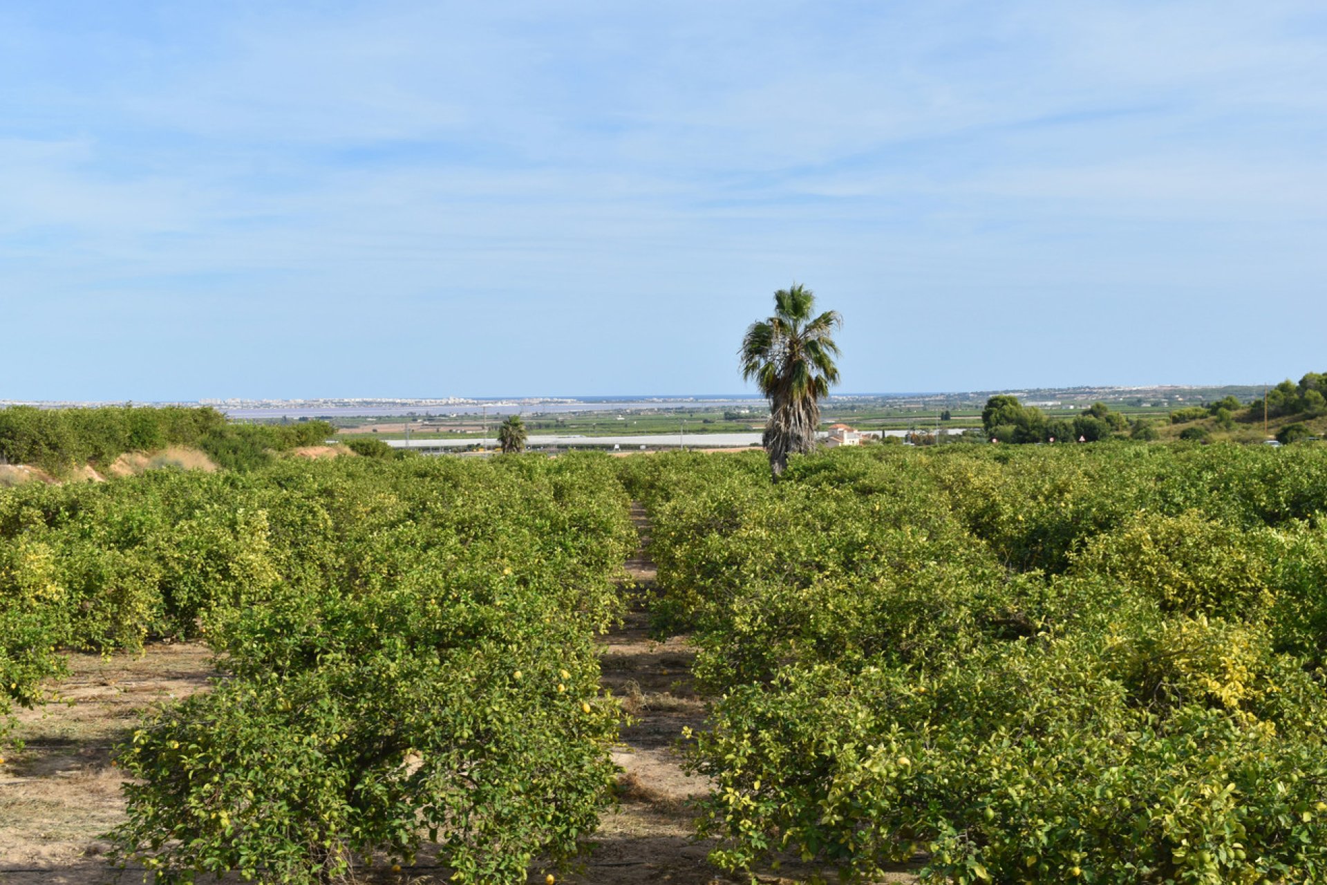 Resale - Villa - Torremendo