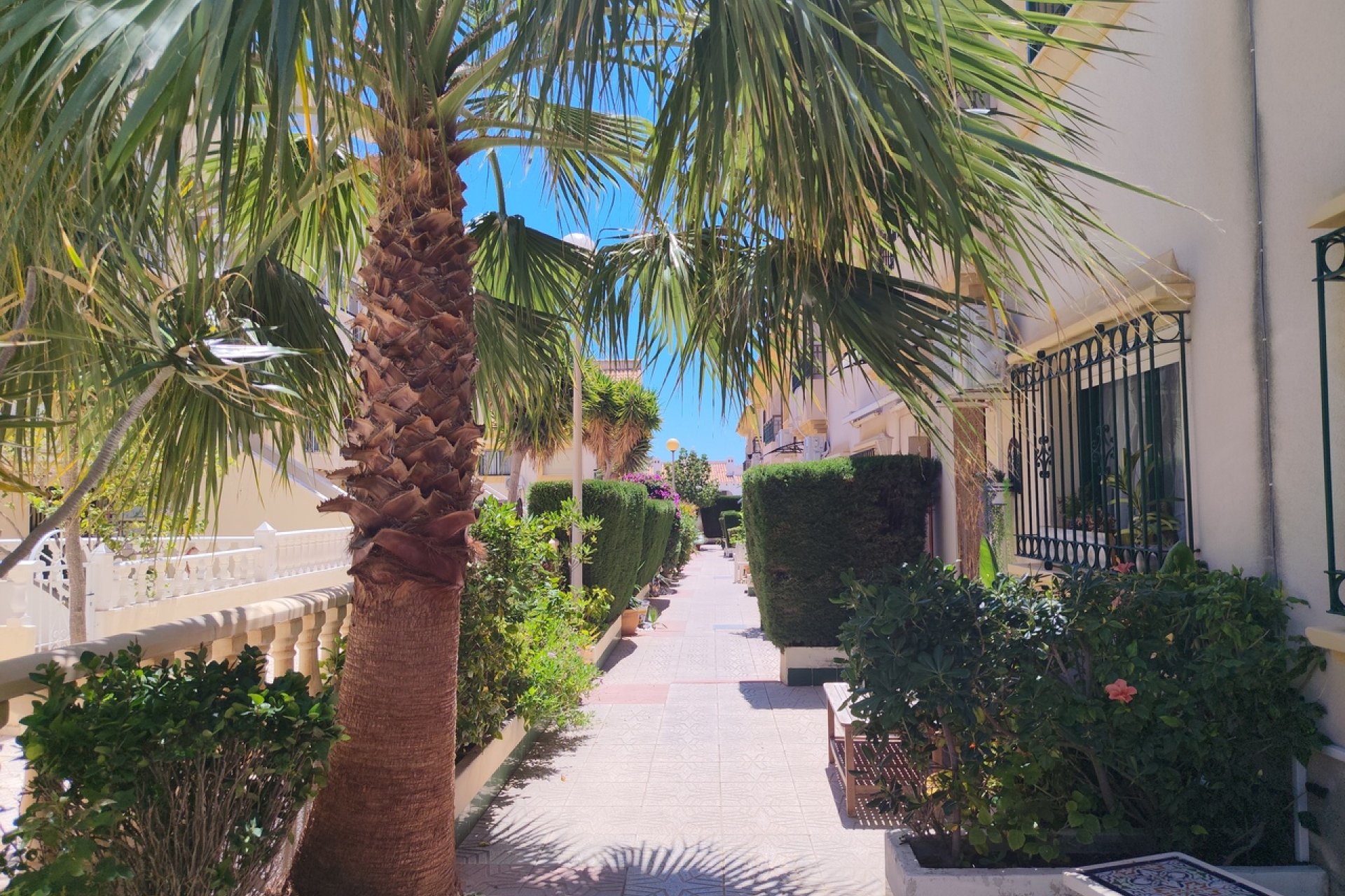 Reventa - Adosado - La Zenia