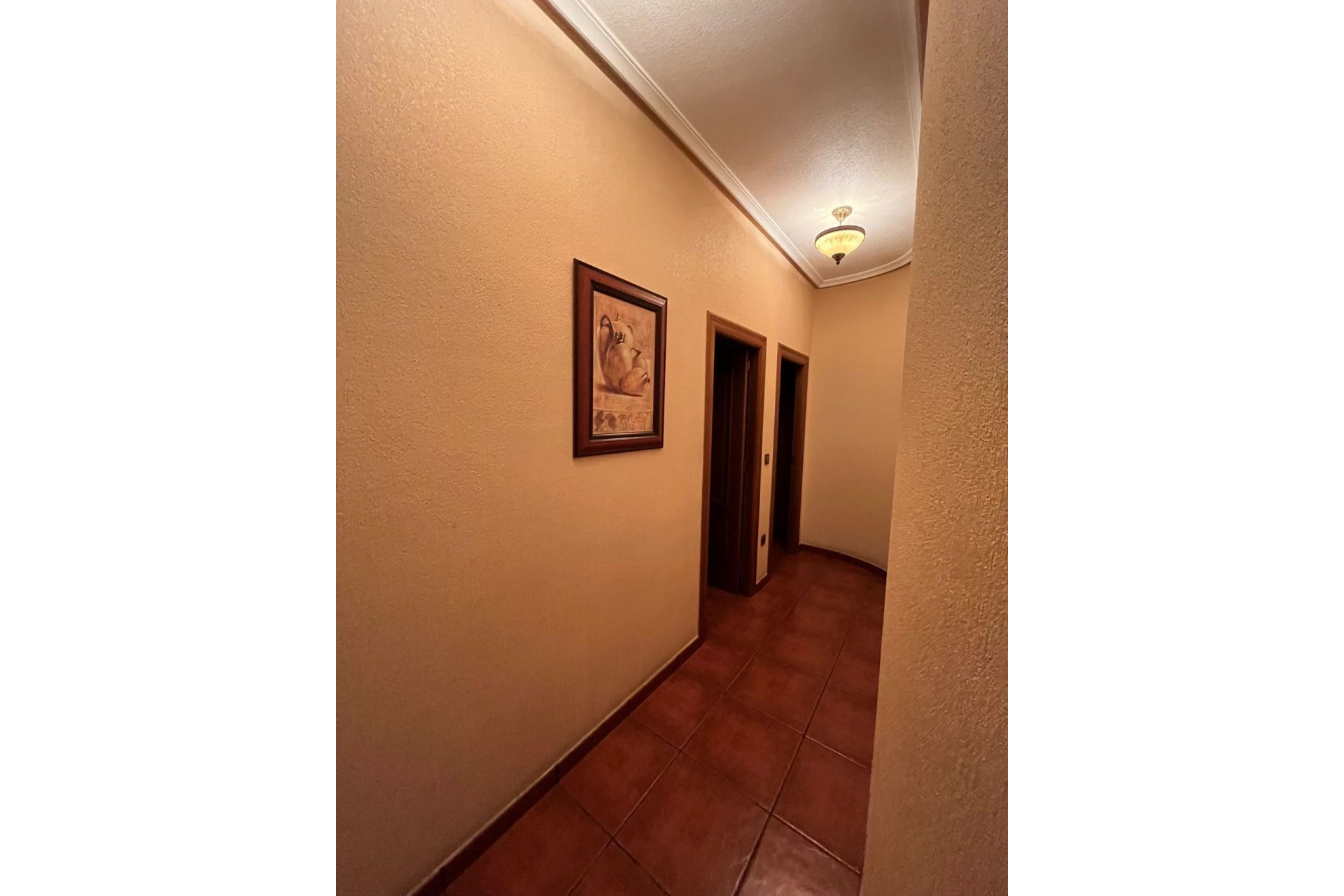 Reventa - Adosado - Orihuela Costa - Orihuela