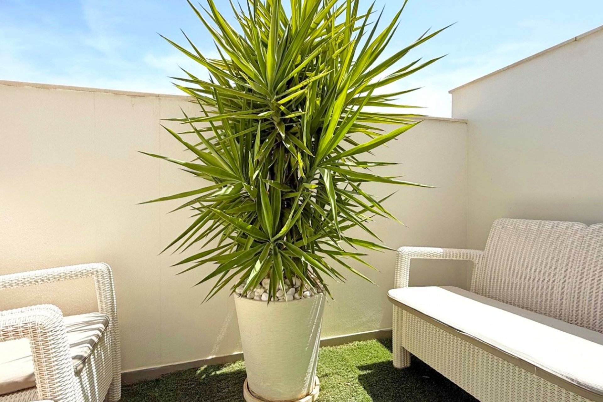 Reventa - Adosado - Orihuela Costa - Villamartín