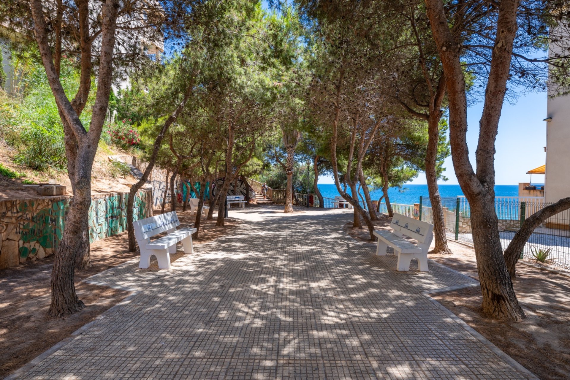 Reventa - Apartamento / piso - Cabo Roig