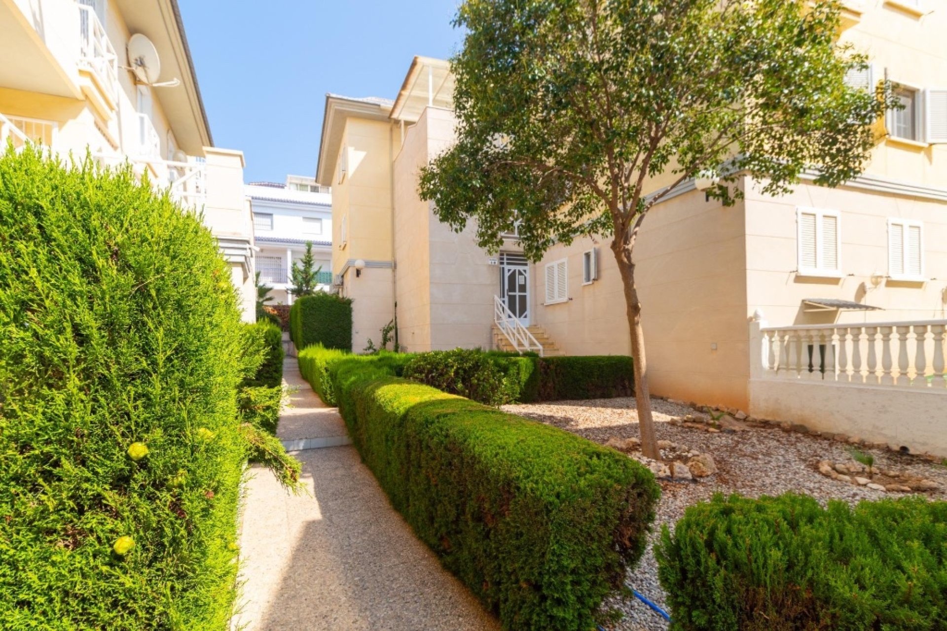 Reventa - Apartamento / piso - La Veleta - La veleta