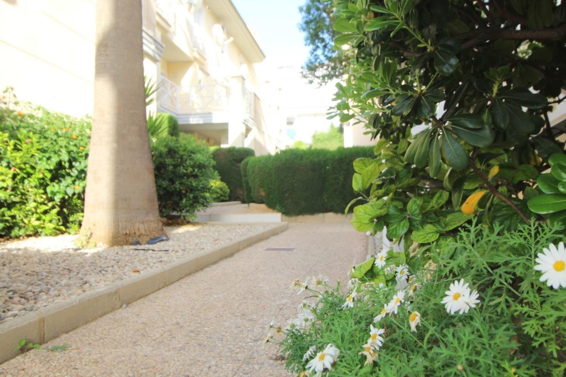 Reventa - Apartamento / piso - La Veleta - La veleta