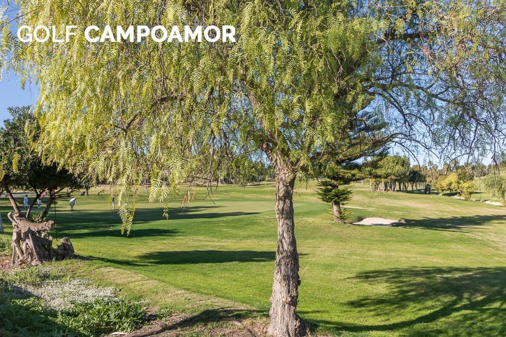 Reventa - Apartamento / piso - Orihuela Costa - Campoamor