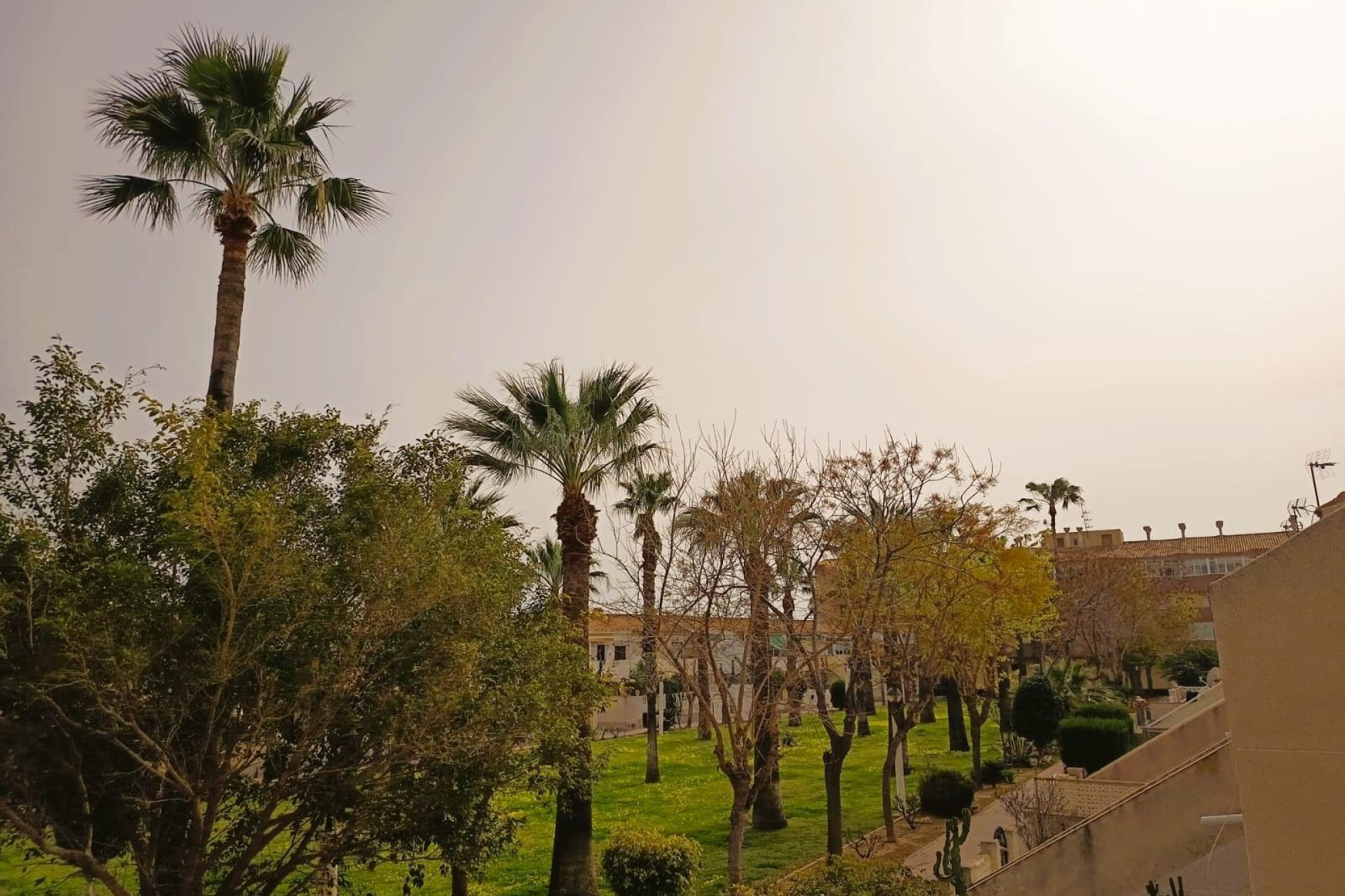 Reventa - Apartamento / piso - Orihuela Costa - La Regia