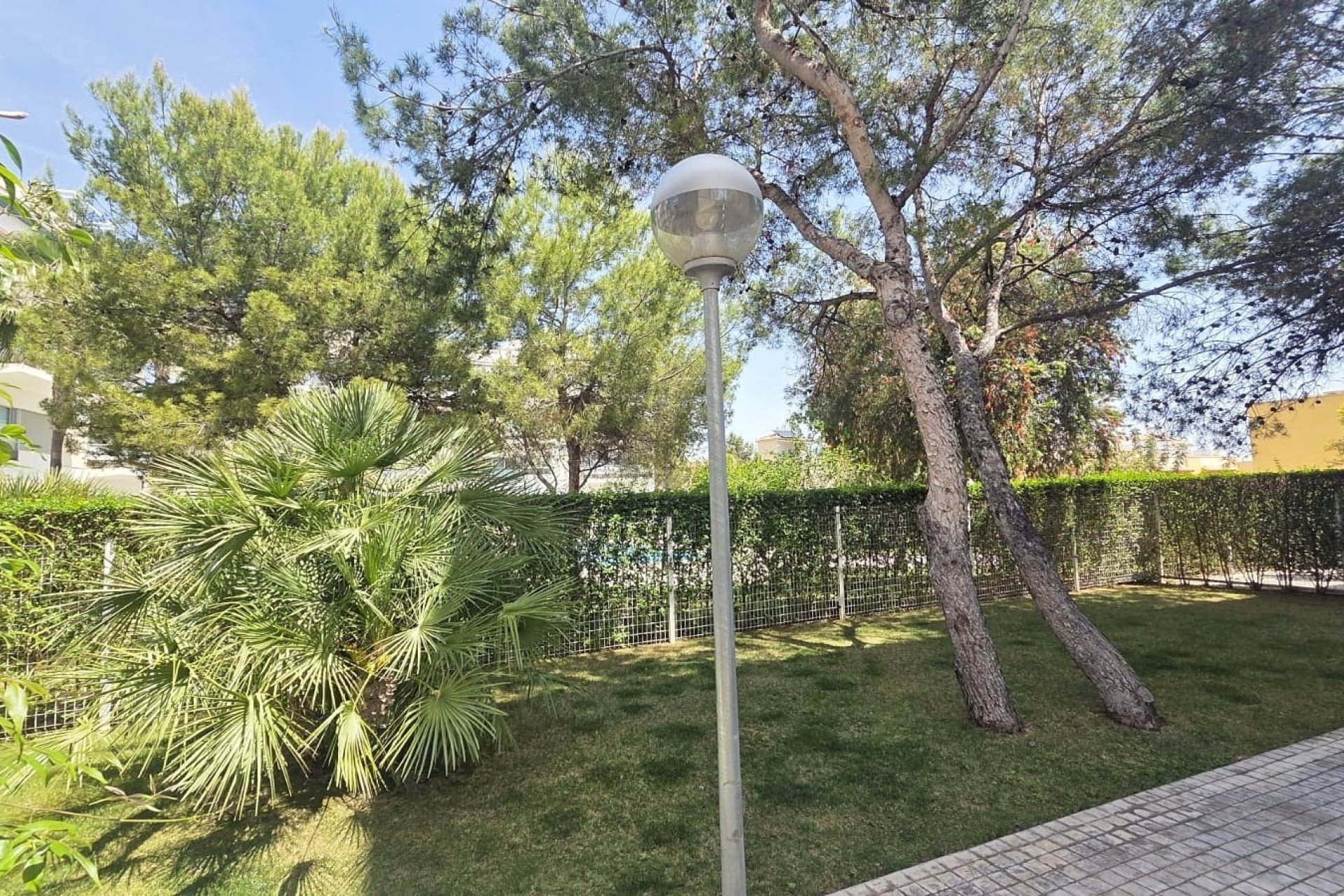 Reventa - Apartamento / piso - Orihuela Costa - Los Dolses