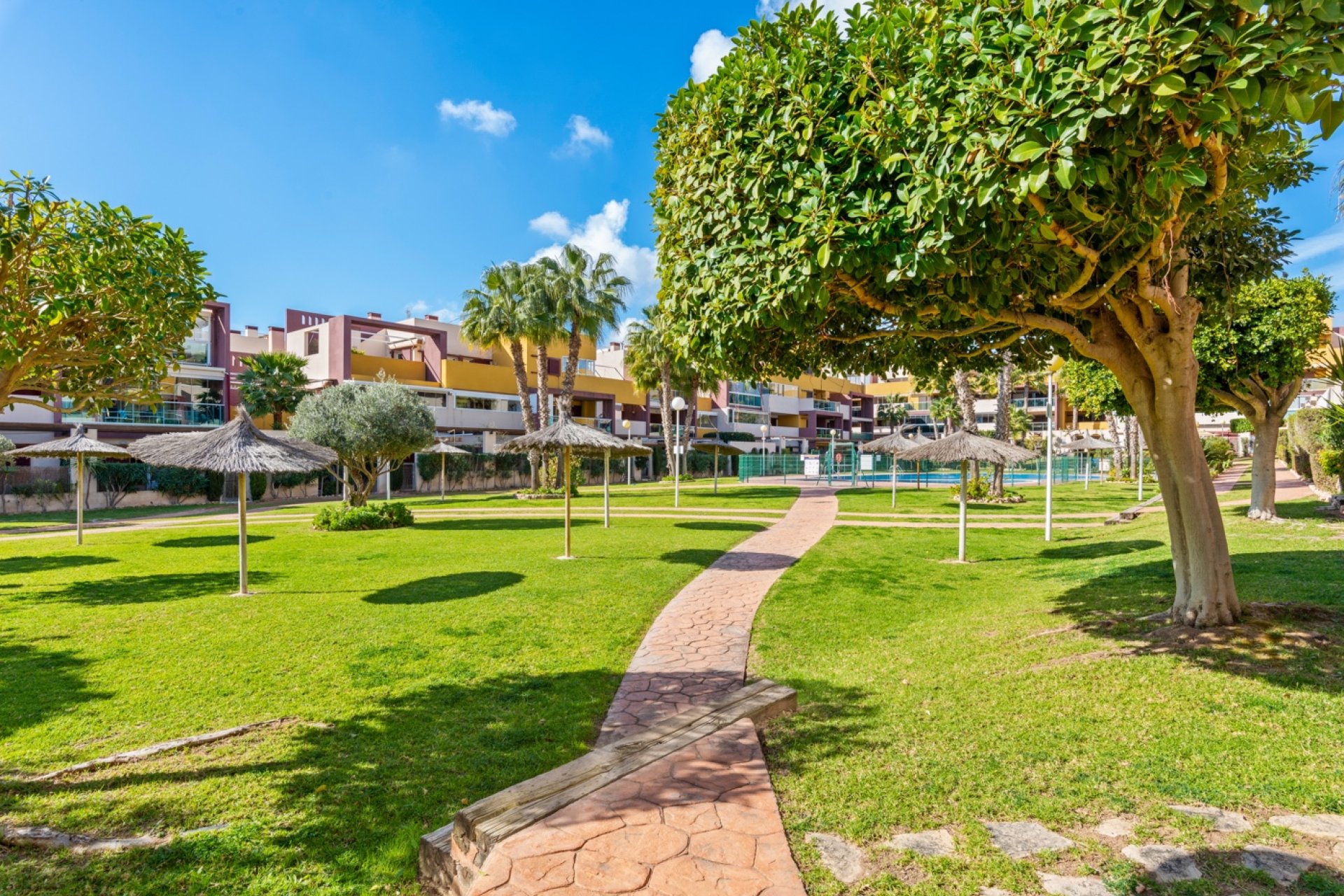 Reventa - Apartamento / piso - Orihuela Costa - Playa Flamenca