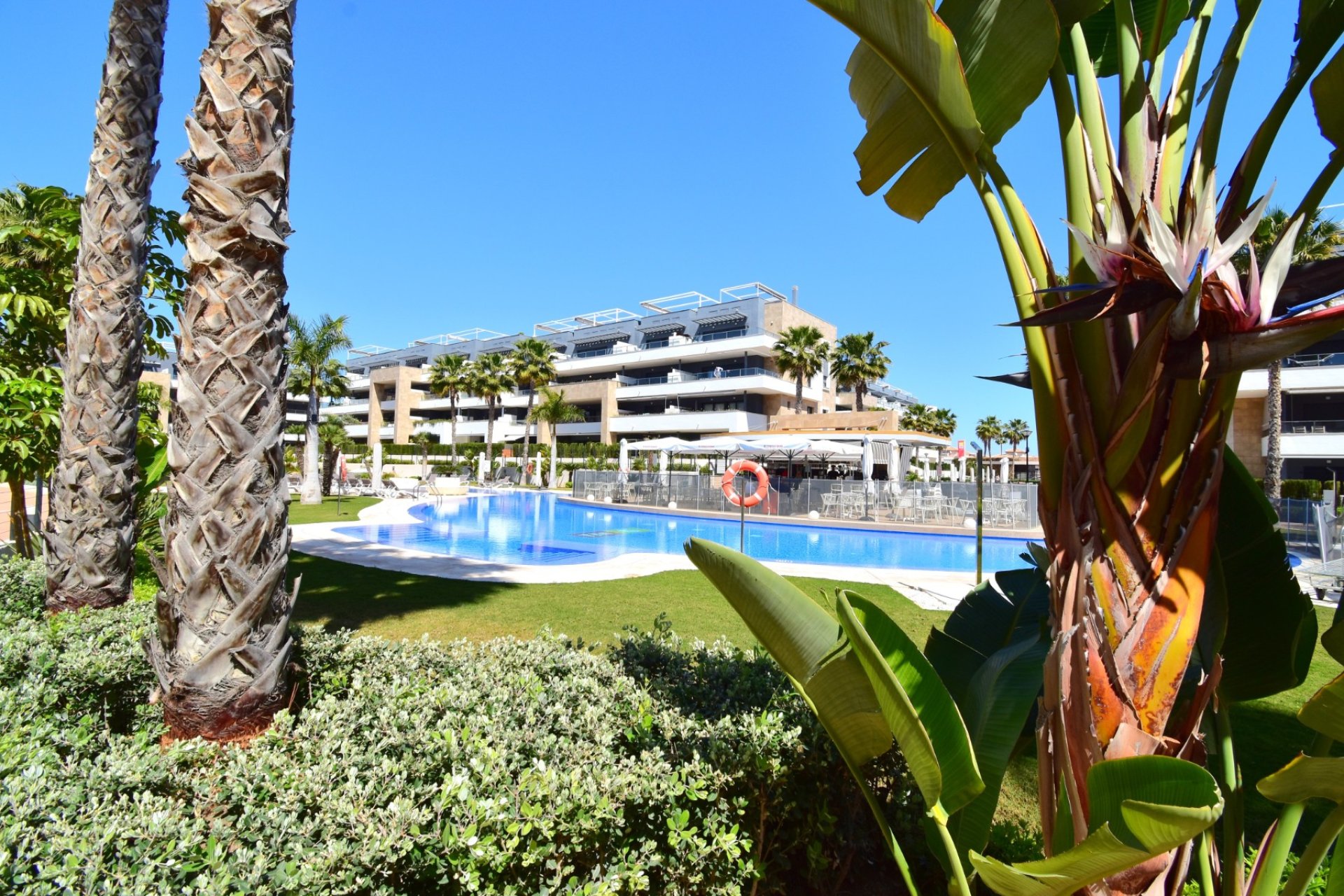 Reventa - Apartamento / piso - Orihuela Costa - Playa Flamenca