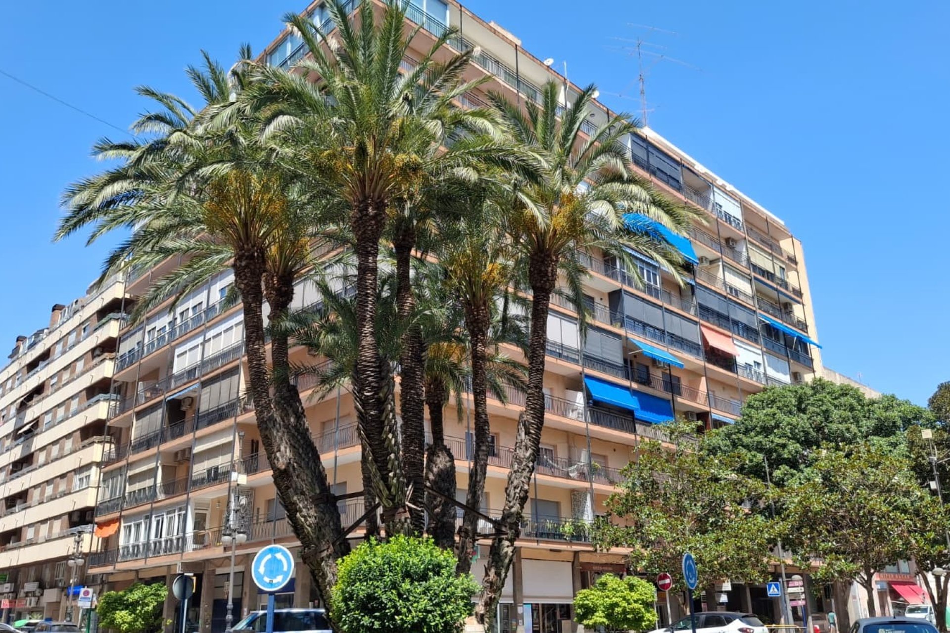Reventa - Apartamento / piso - Orihuela - Zona Centro