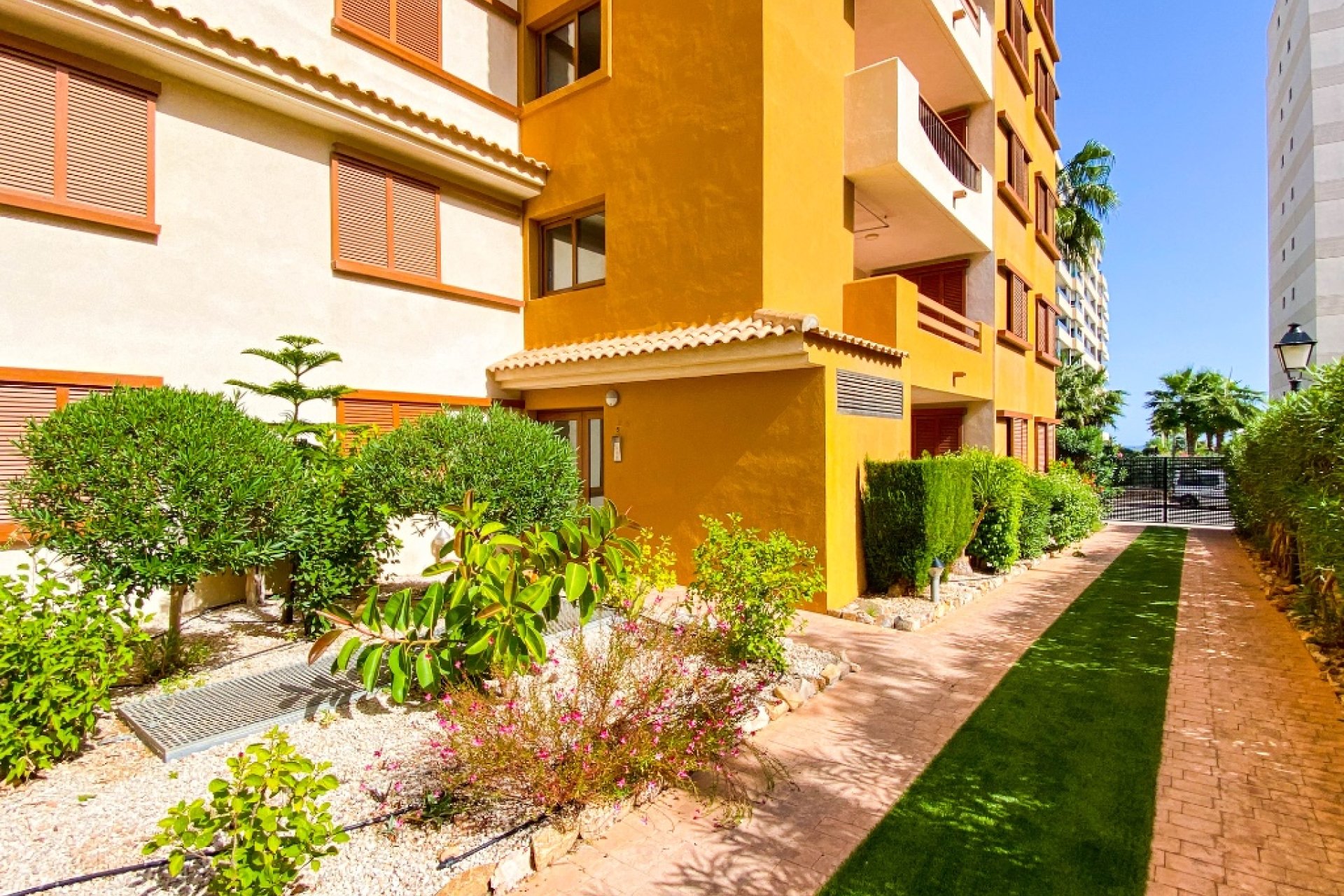 Reventa - Apartamento / piso - Punta Prima