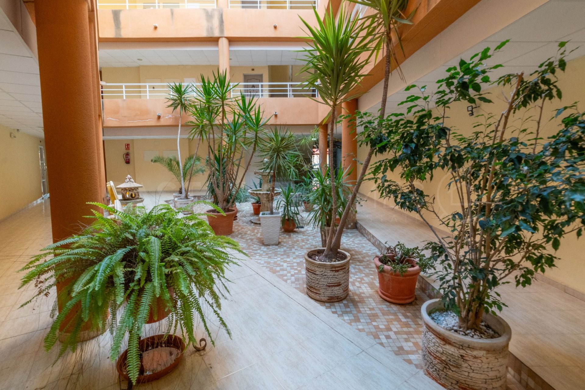 Reventa - Apartamento / piso - San Miguel de Salinas - Pueblo