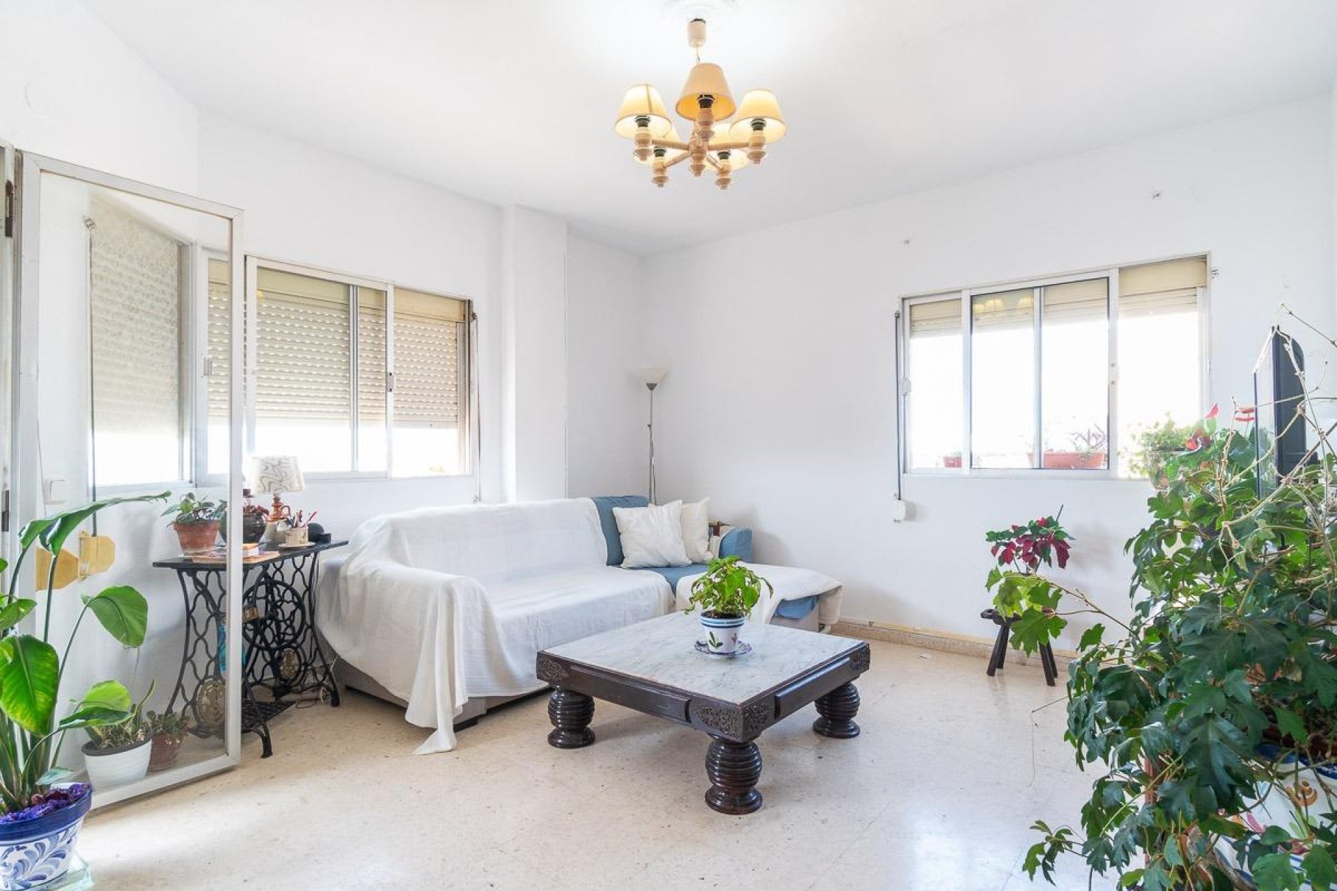 Reventa - Apartamento / piso - Torrevieja - Centro