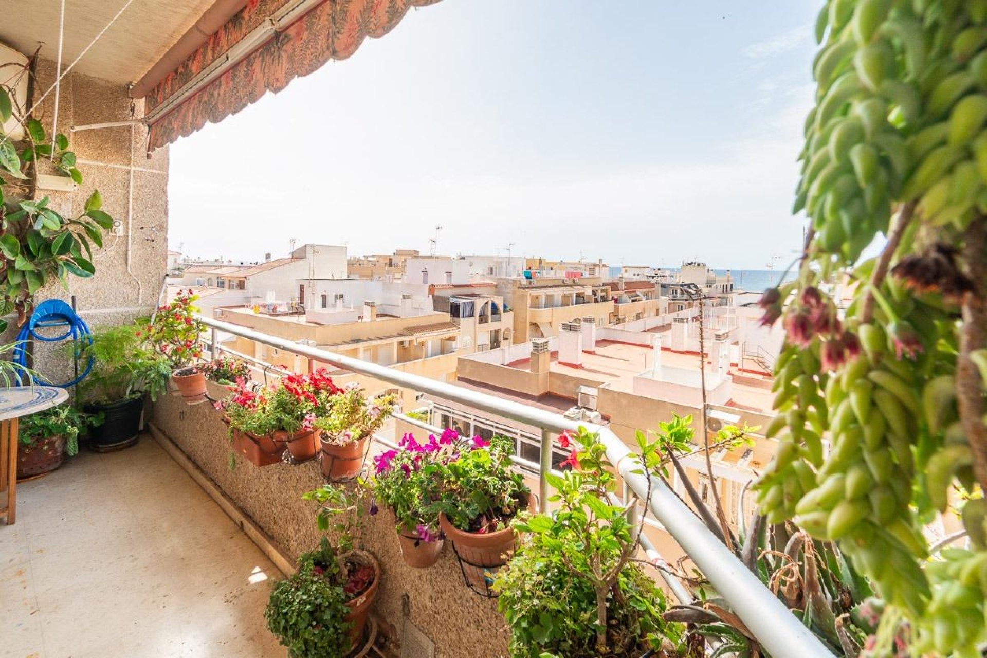 Reventa - Apartamento / piso - Torrevieja - Centro