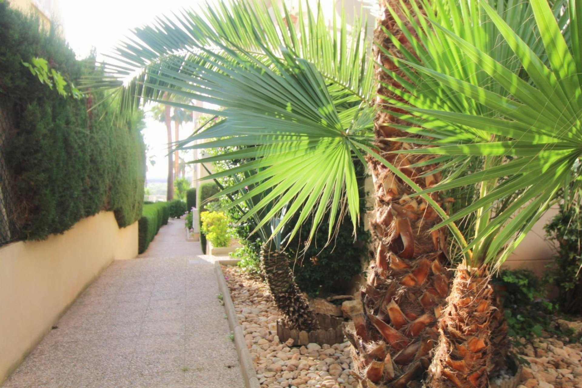 Reventa - Apartamento / piso - Torrevieja - La Veleta
