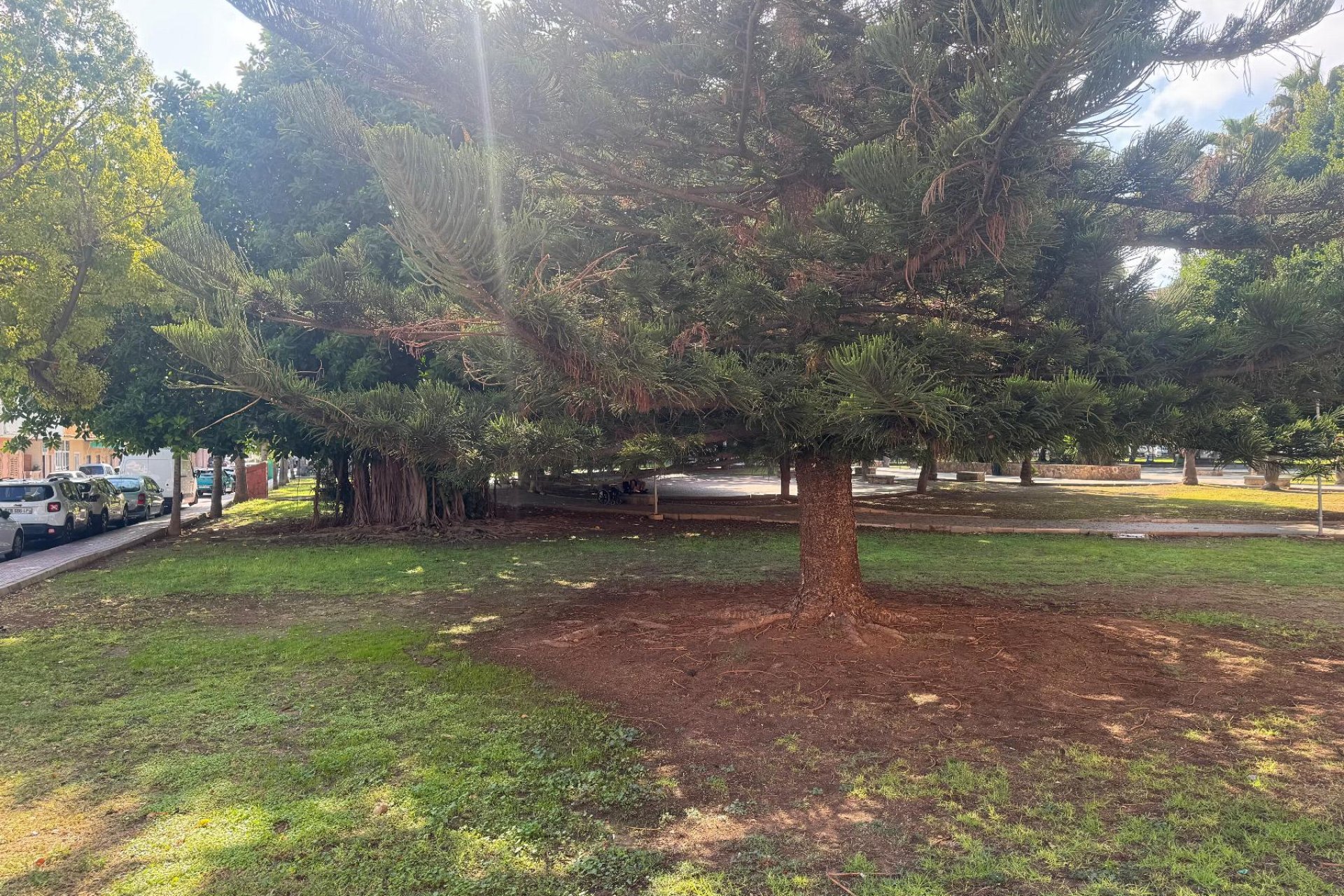 Reventa - Apartamento / piso - Torrevieja - Playa del Acequión