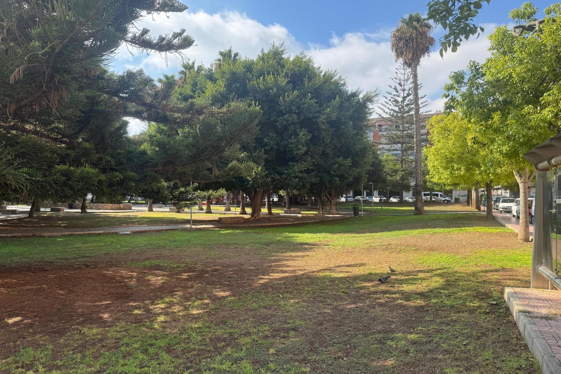 Reventa - Apartamento / piso - Torrevieja - Playa del Acequión