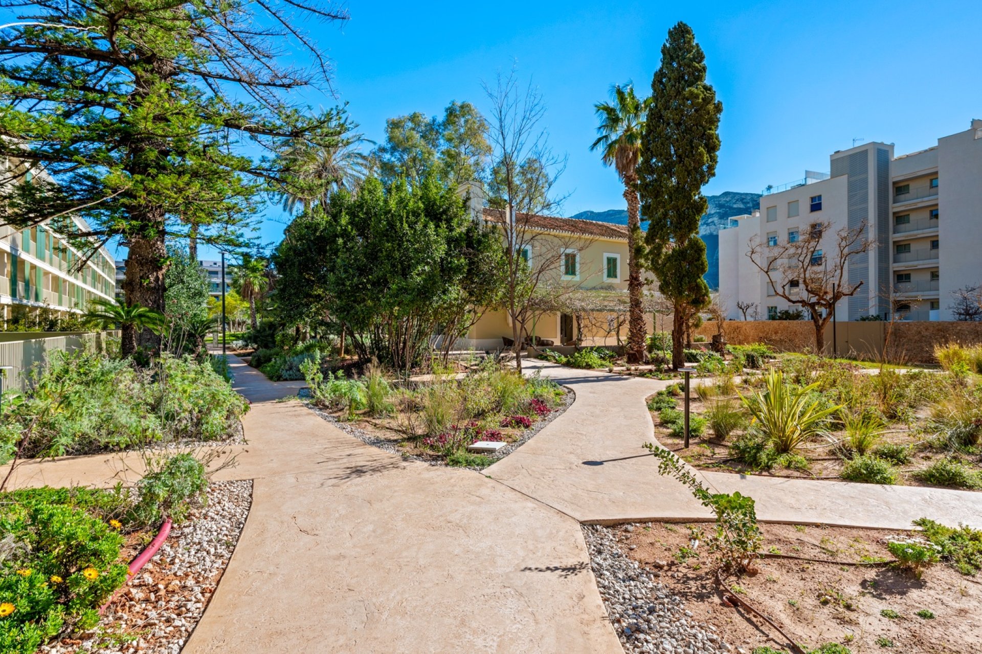 Reventa - Ático - Denia - Puerto