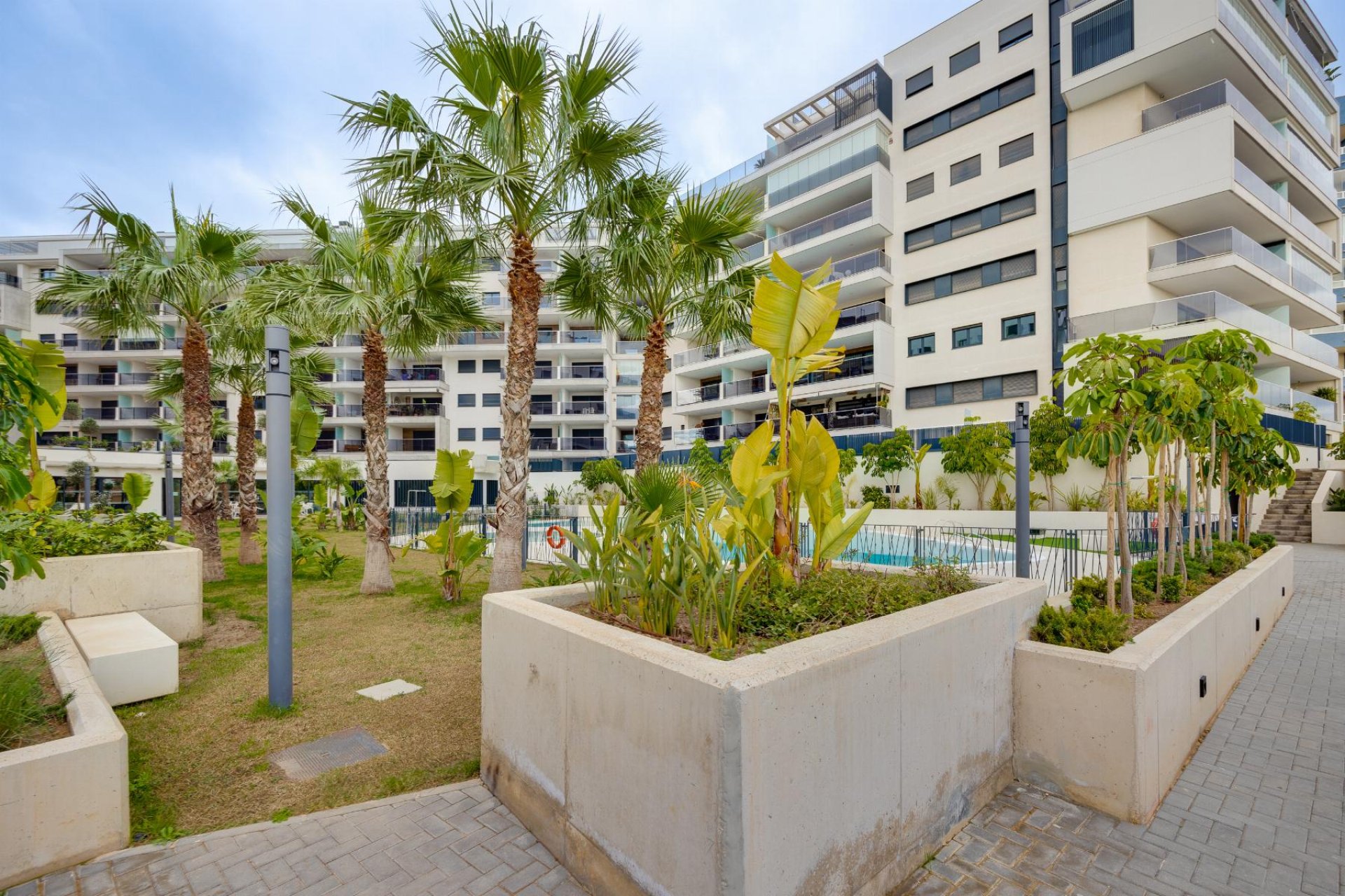 Reventa - Ático - Orihuela Costa - Campoamor