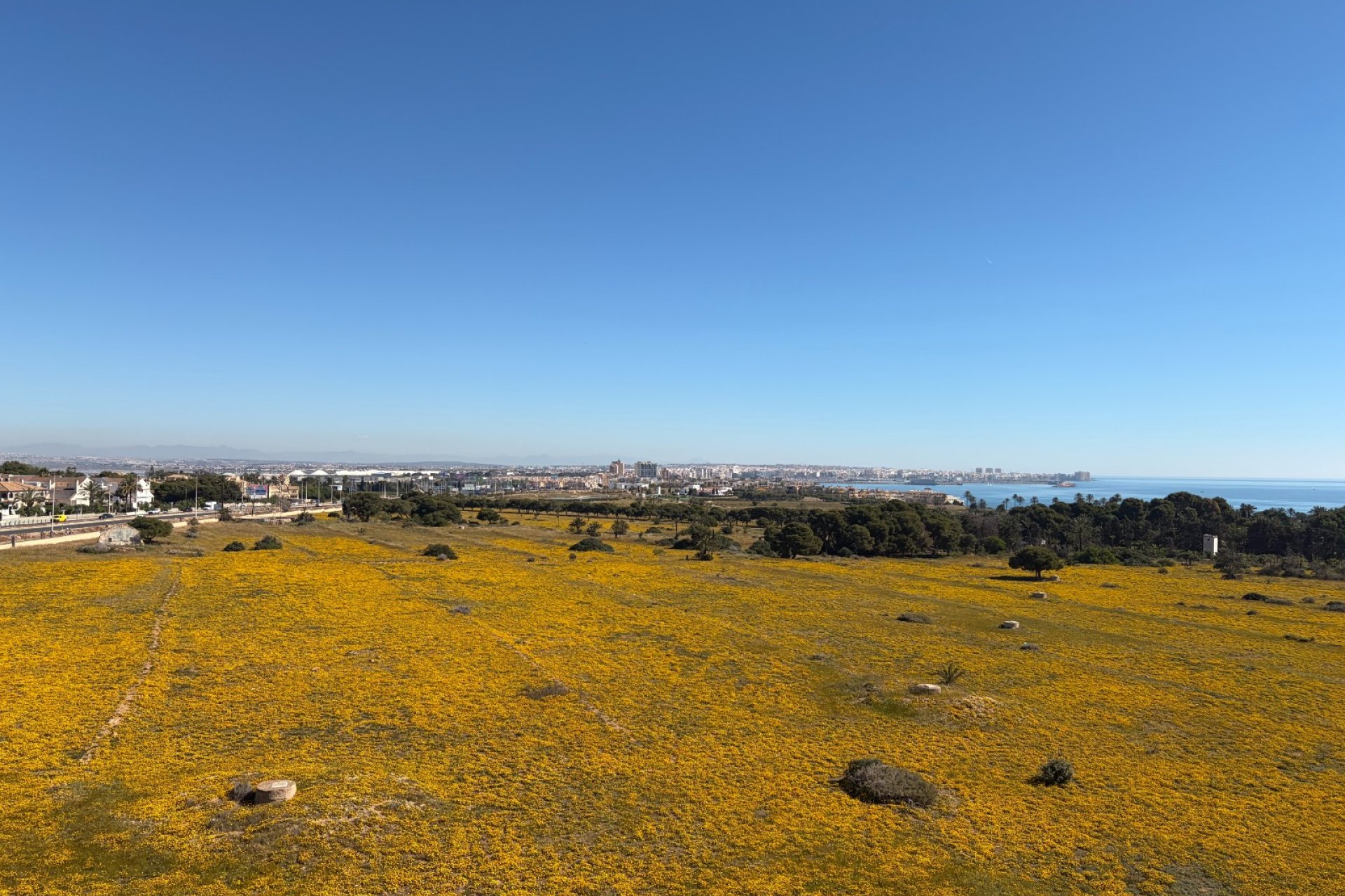 Reventa - Ático - Torrevieja - Punta Prima
