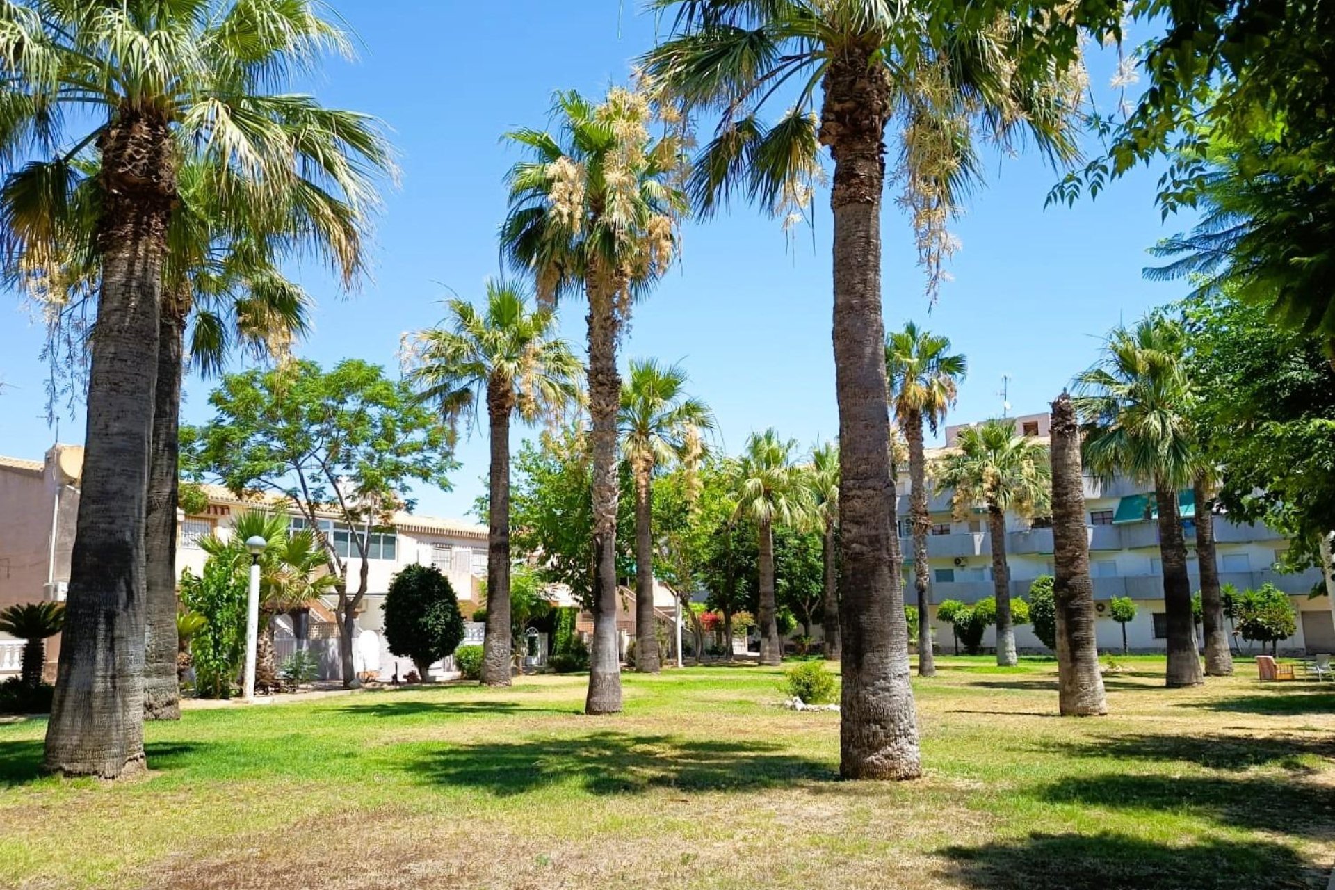Reventa - Bungalow - Orihuela Costa - La Regia