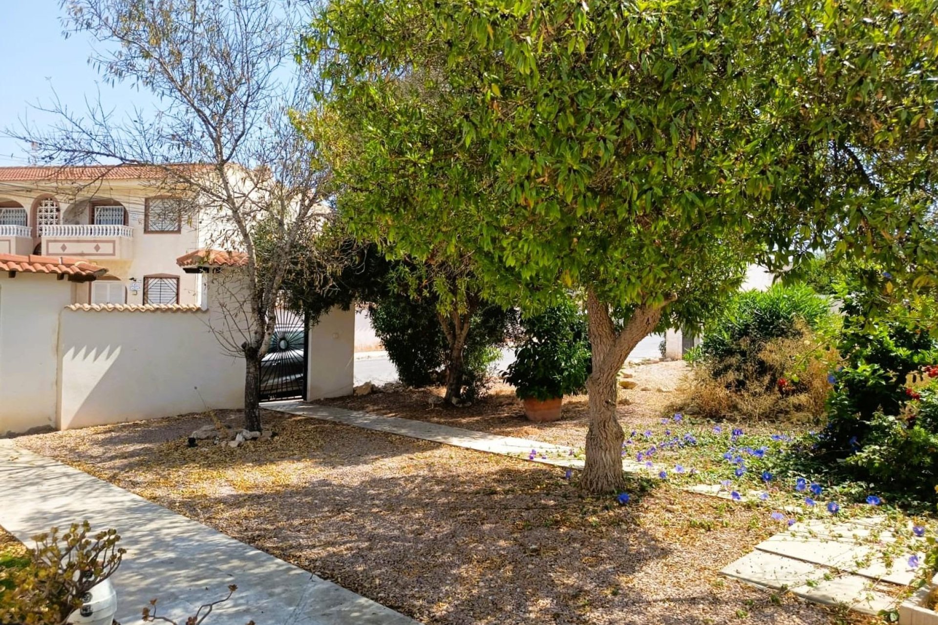 Reventa - Bungalow - Torrevieja - La Siesta - El Salado - Torreta