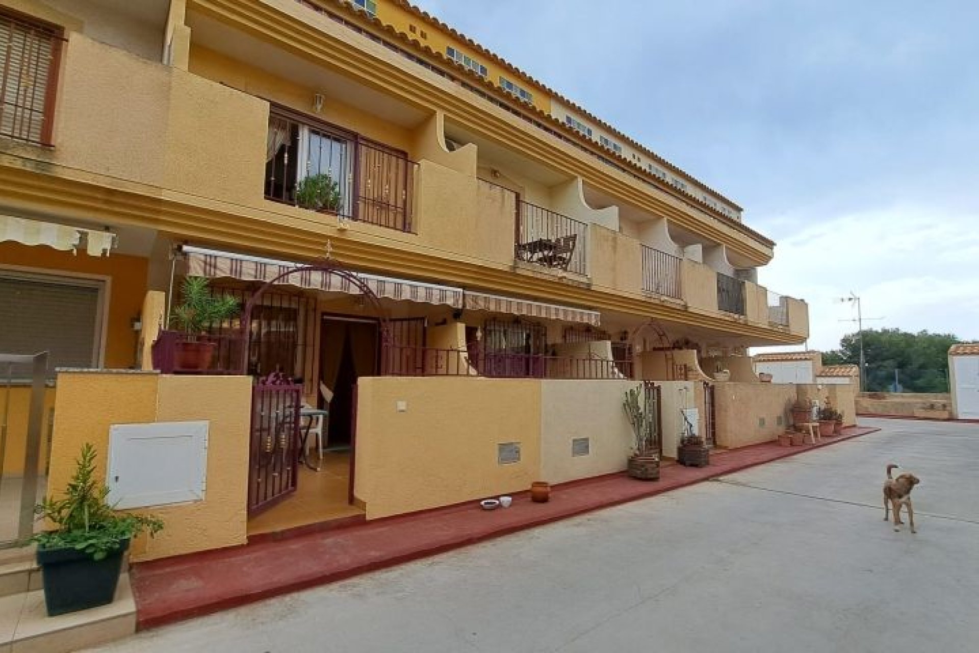 Reventa - Duplex - Orihuela Costa