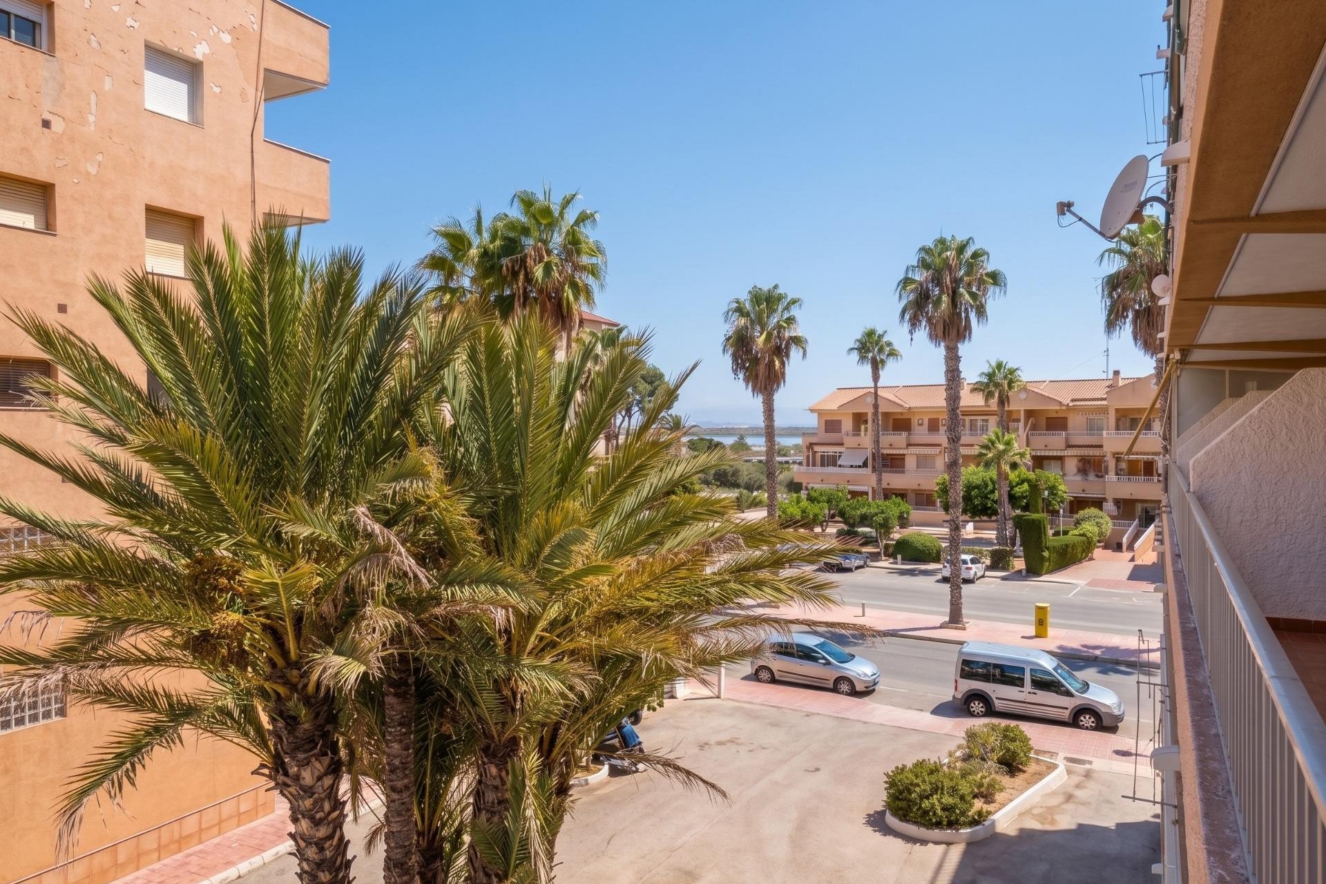 Reventa - Estudio - Guardamar del Segura - Lomas de Polo-Pinomar