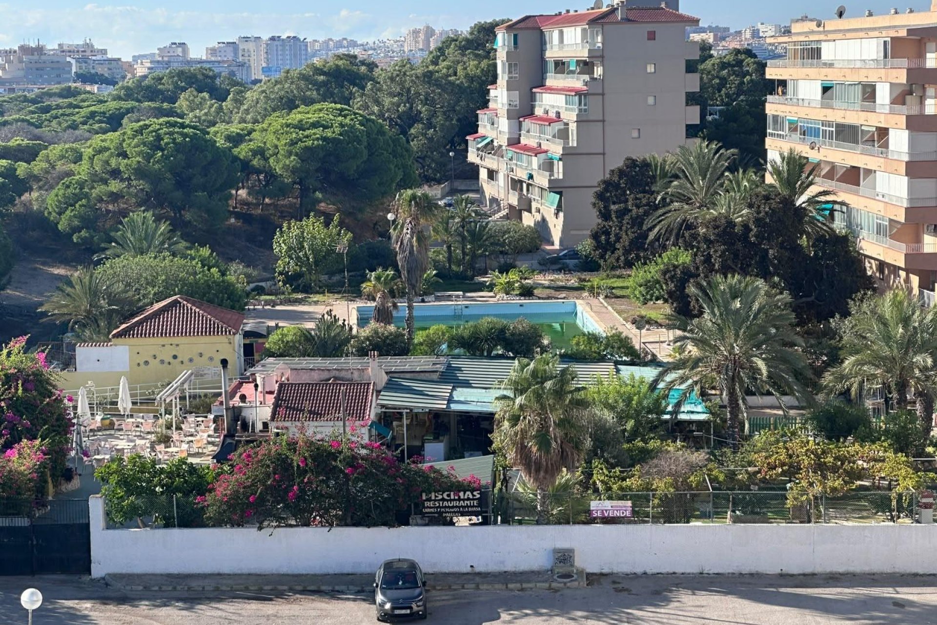 Reventa - Estudio - Guardamar del Segura - Lomas de Polo-Pinomar
