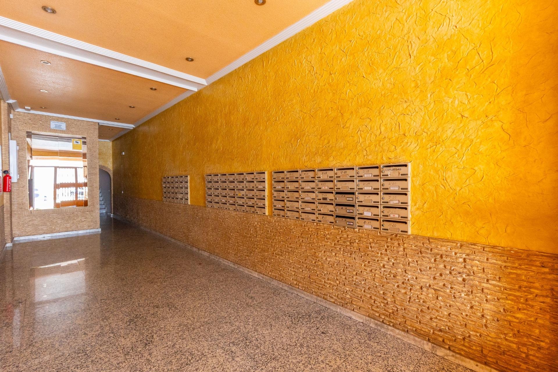 Reventa - Estudio - Torrevieja - Estacion de autobuses