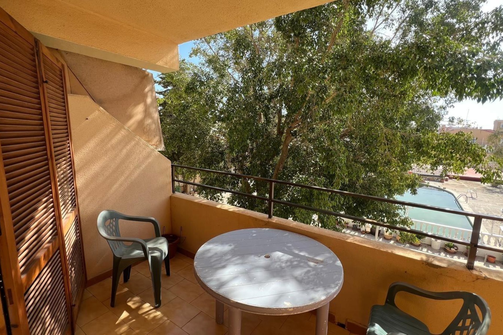 Reventa - Estudio - Torrevieja - Urb. Rosaleda