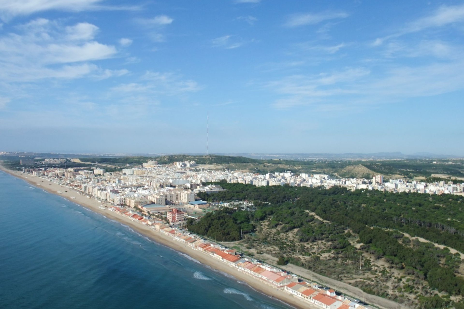 Reventa - Parcela / Terreno - Algorfa