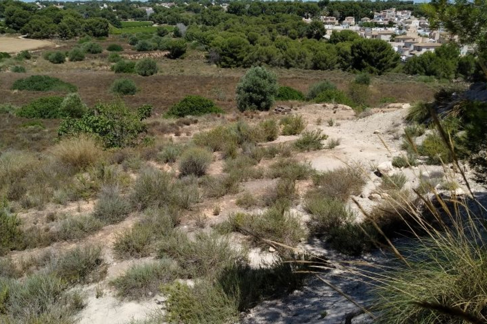 Reventa - Parcela / Terreno - Pinar de Campoverde