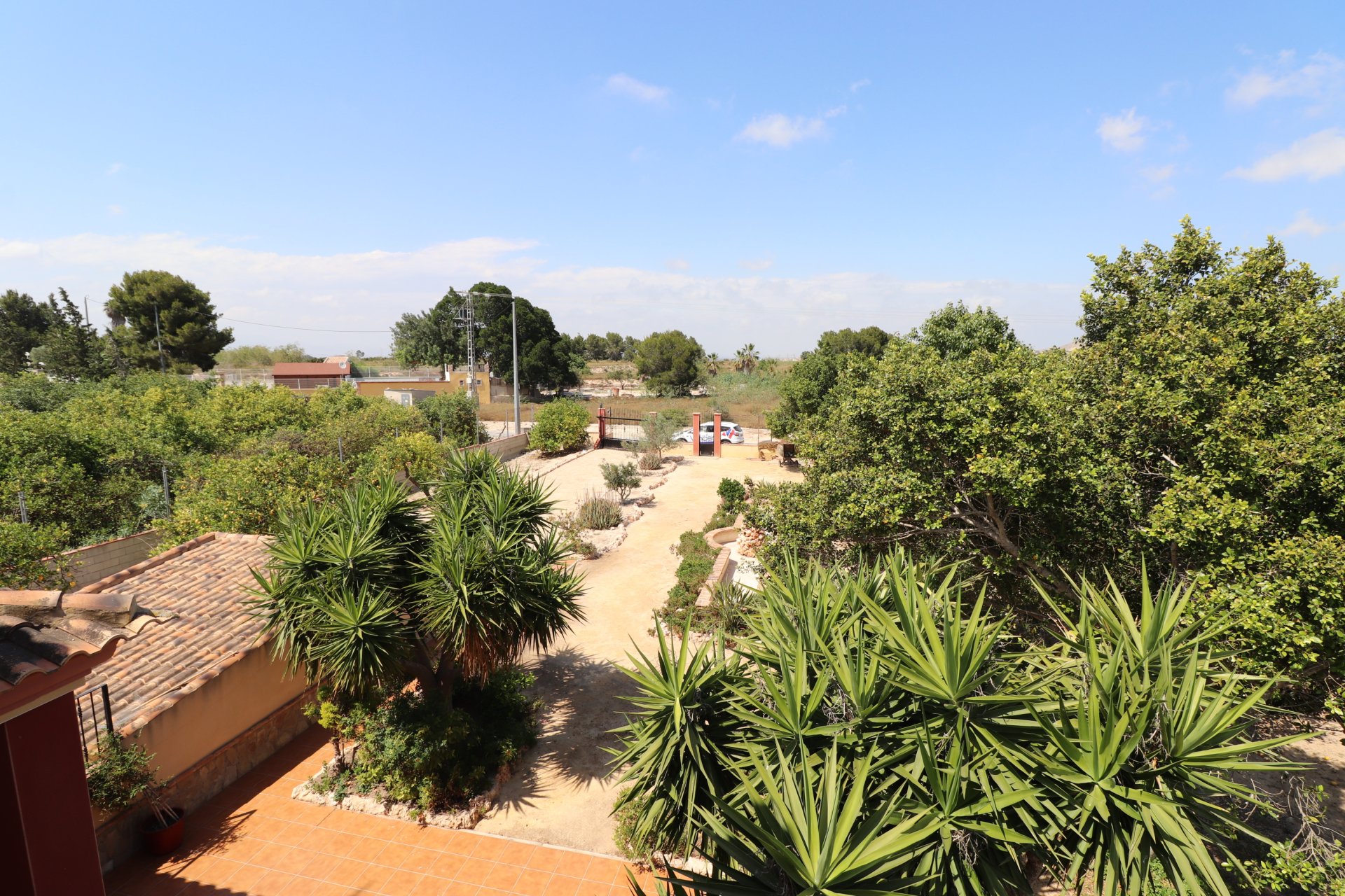 Reventa - Villa - Algorfa - Algorfa - Country