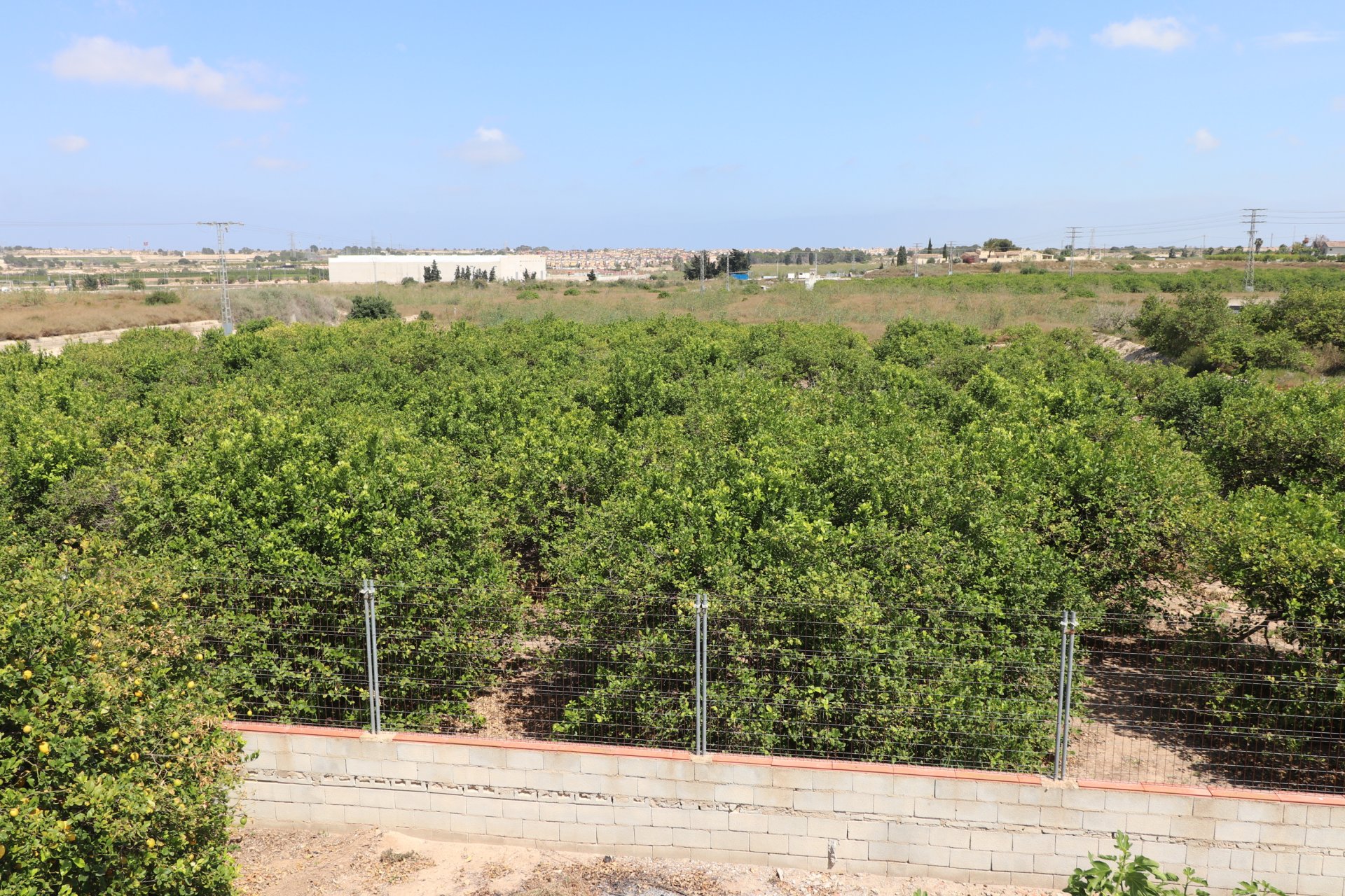 Reventa - Villa - Algorfa - Algorfa - Country
