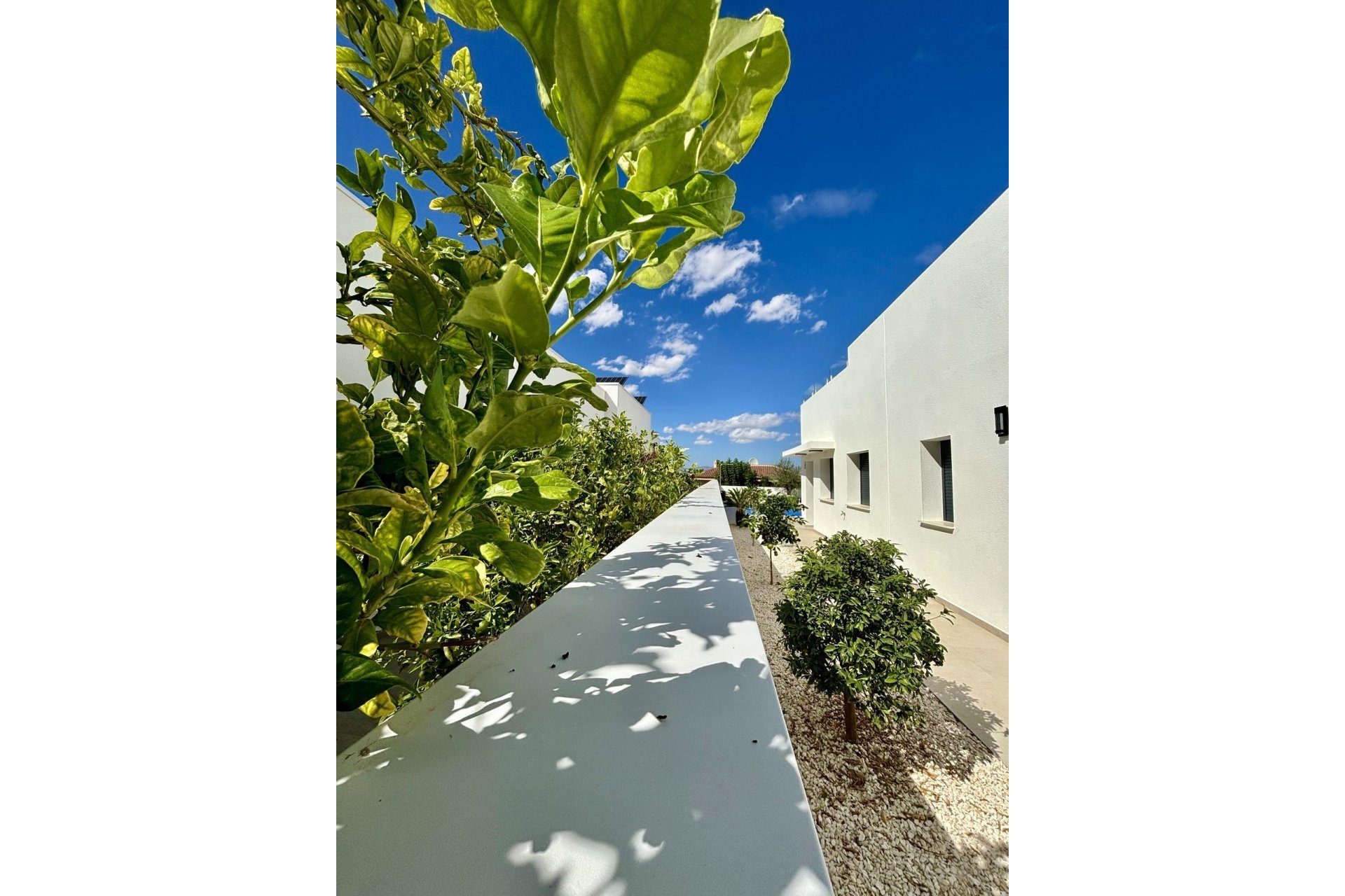Reventa - Villa - Benijofar