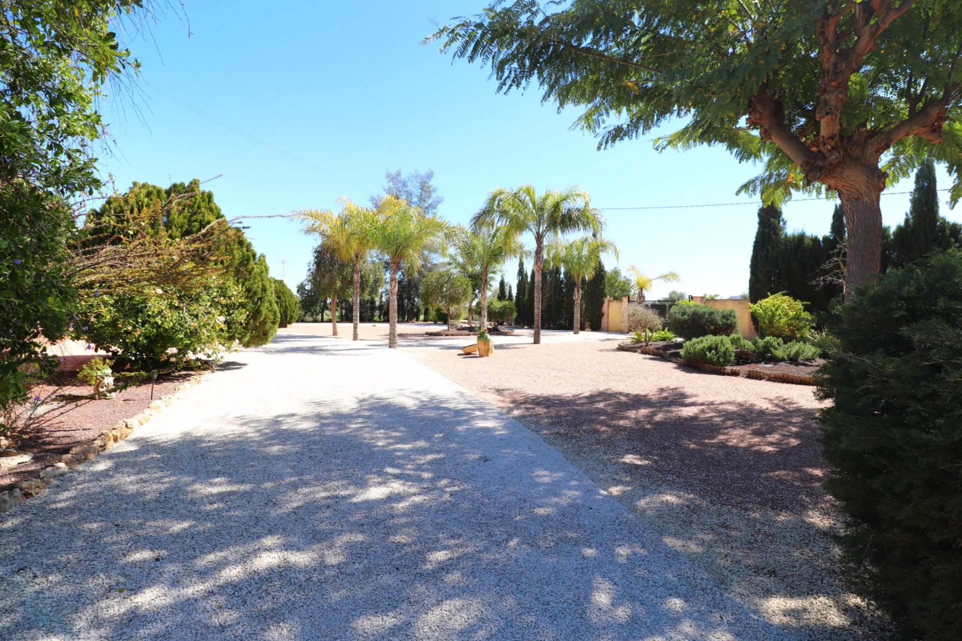 Reventa - Villa - Callosa de Segura - Callosa de Segura - Country