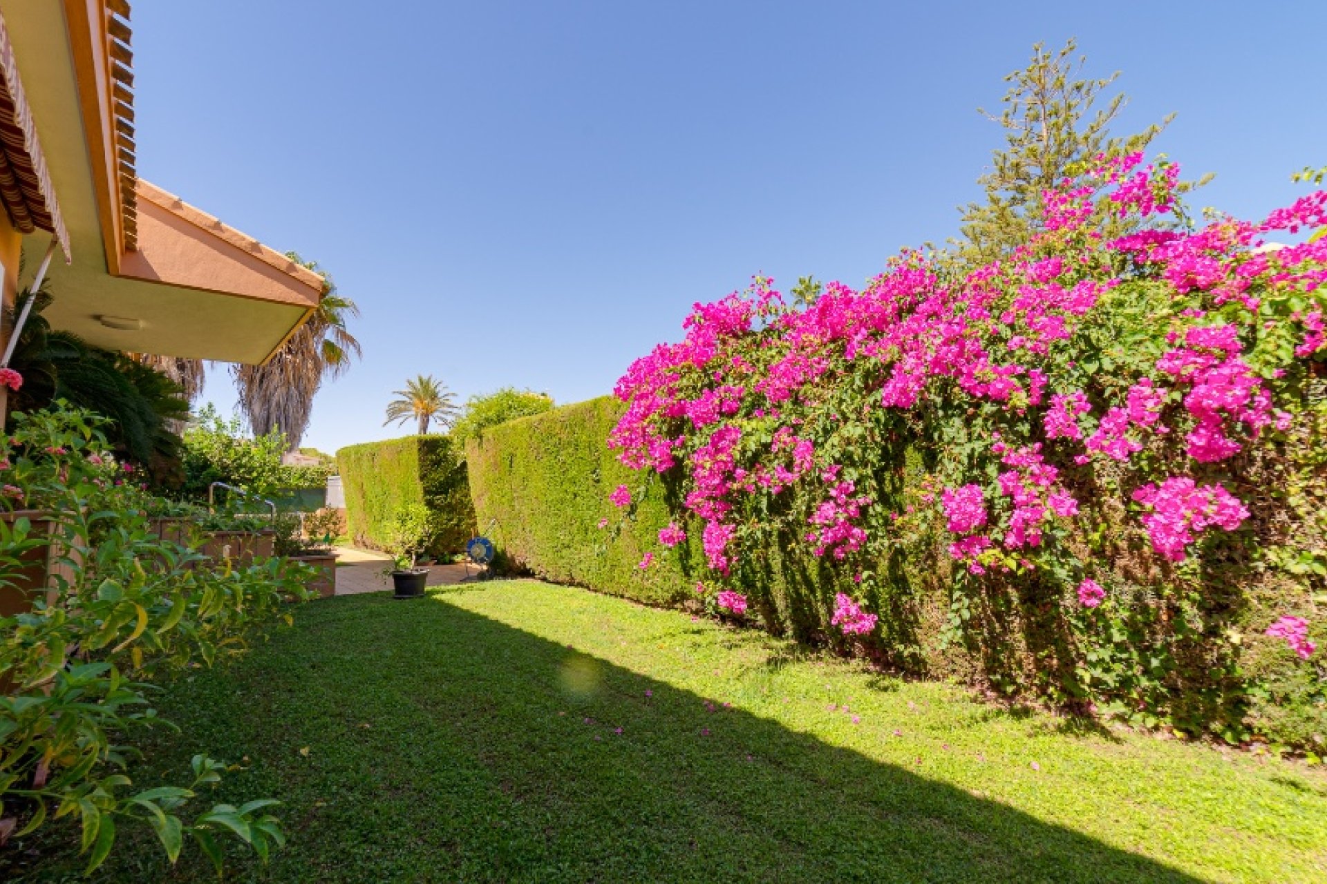 Reventa - Villa - Campoamor