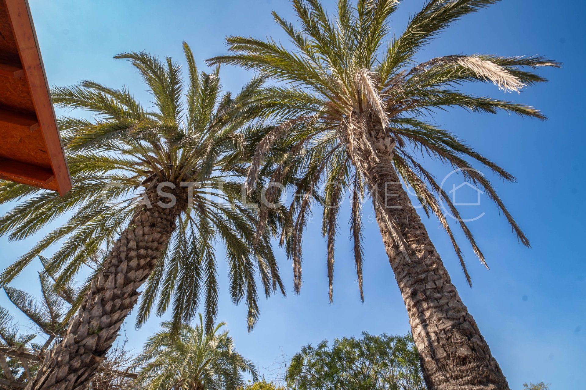 Reventa - Villa - San Fulgencio - Urb. La Marina
