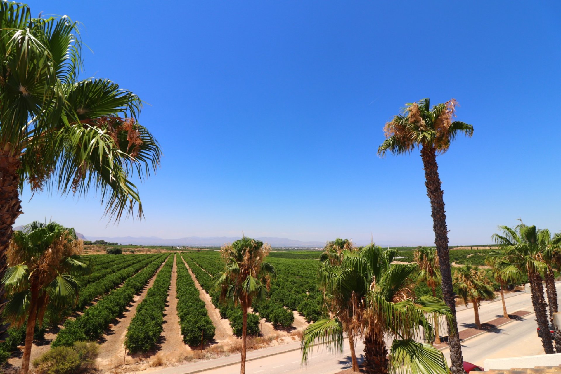 Reventa - Villa / Semi detached - Algorfa - La Finca Golf Resort