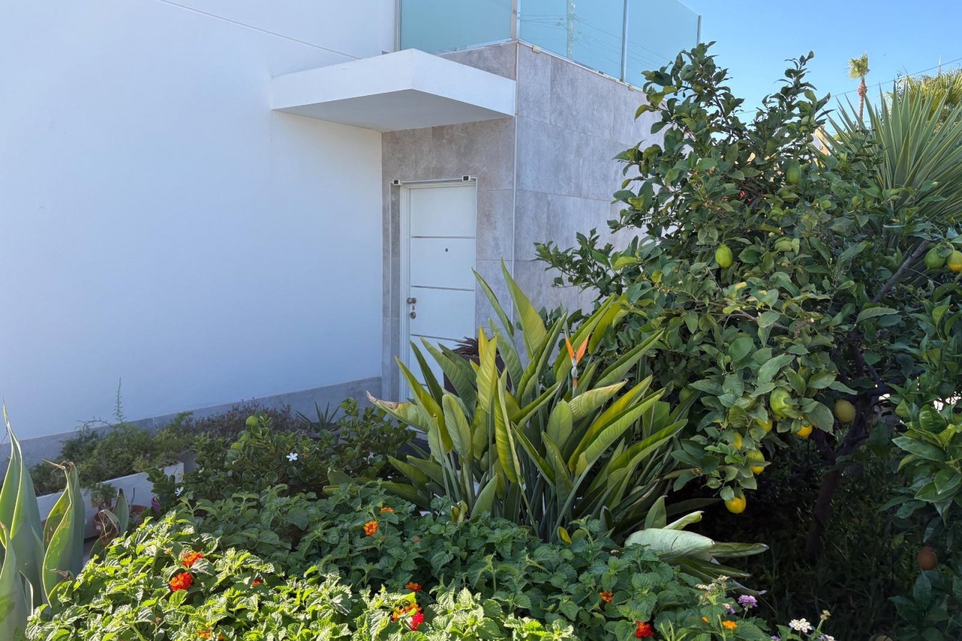 Reventa - Villa - Torrevieja - La Siesta