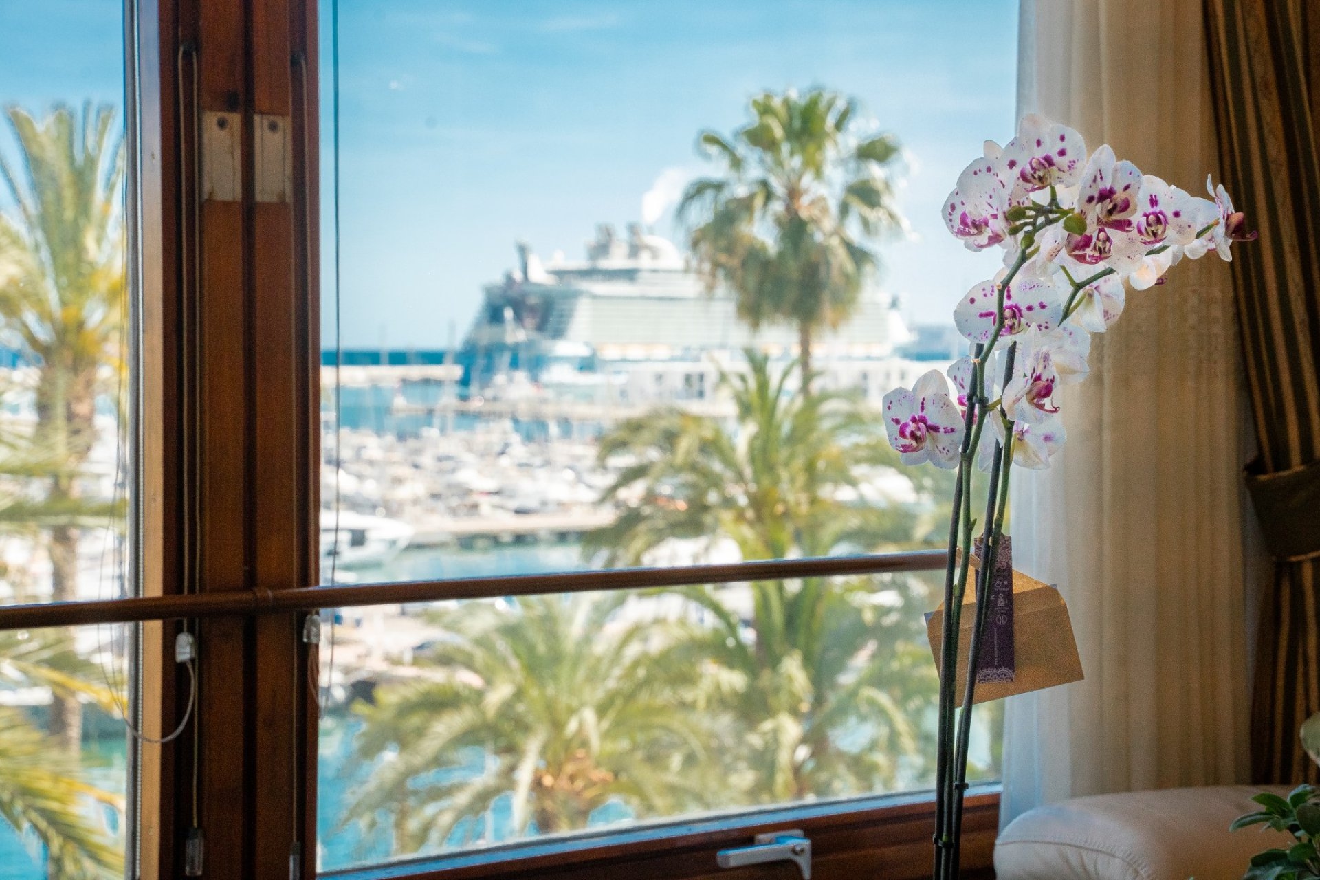 Revente - Appartement - Alicante - Center