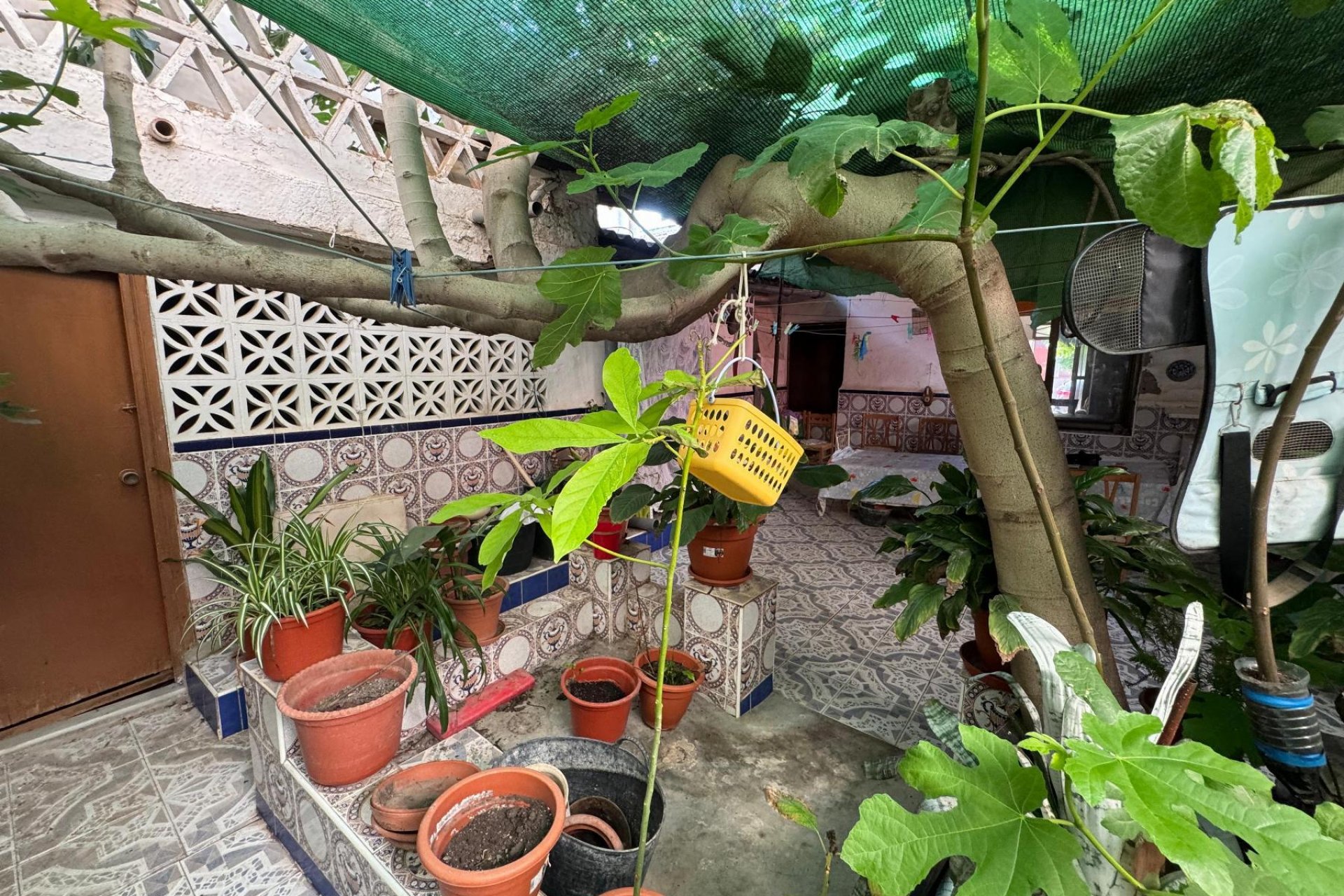 Revente - Appartement - Benejúzar